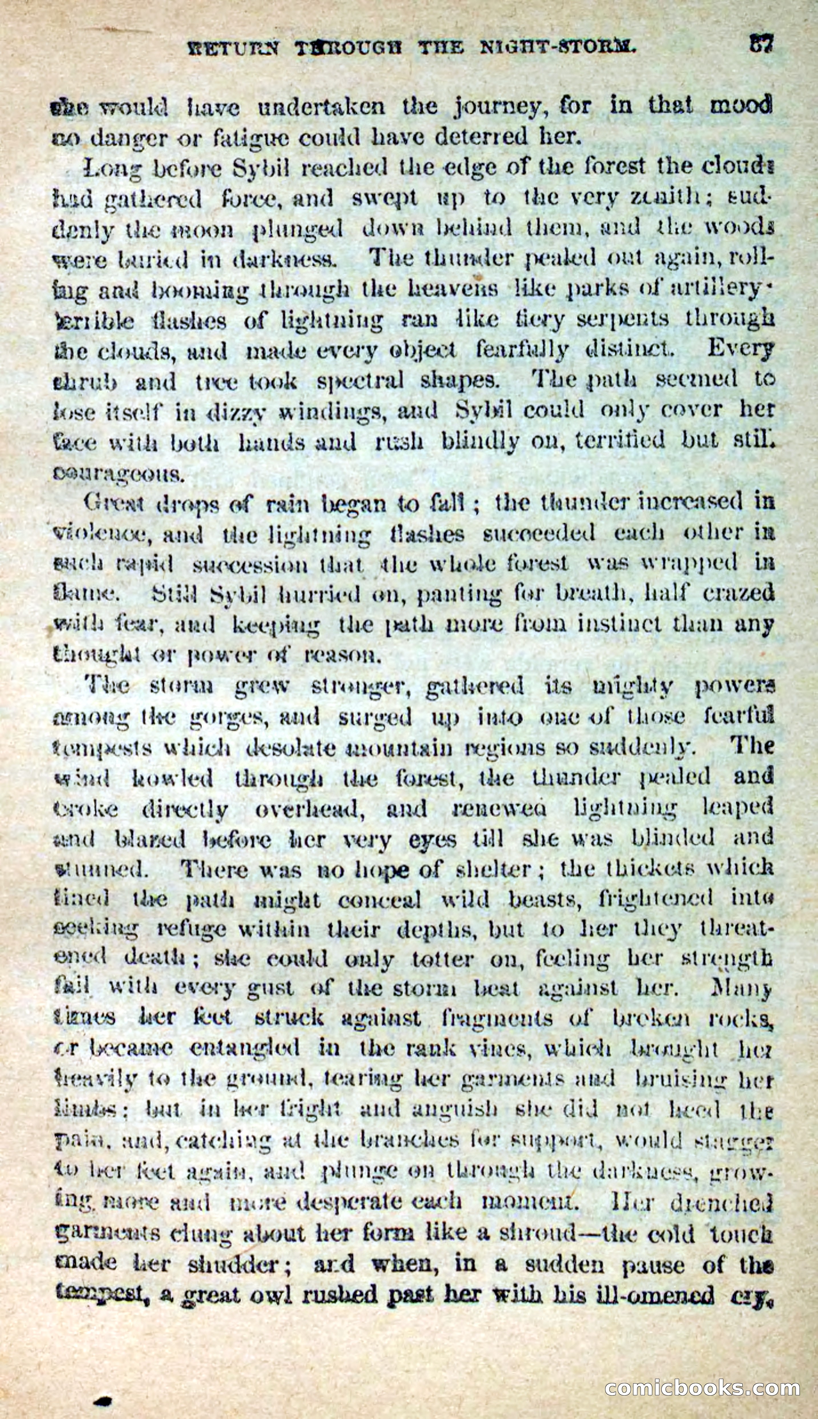 The Outlaw's Wife — page 37 of 132