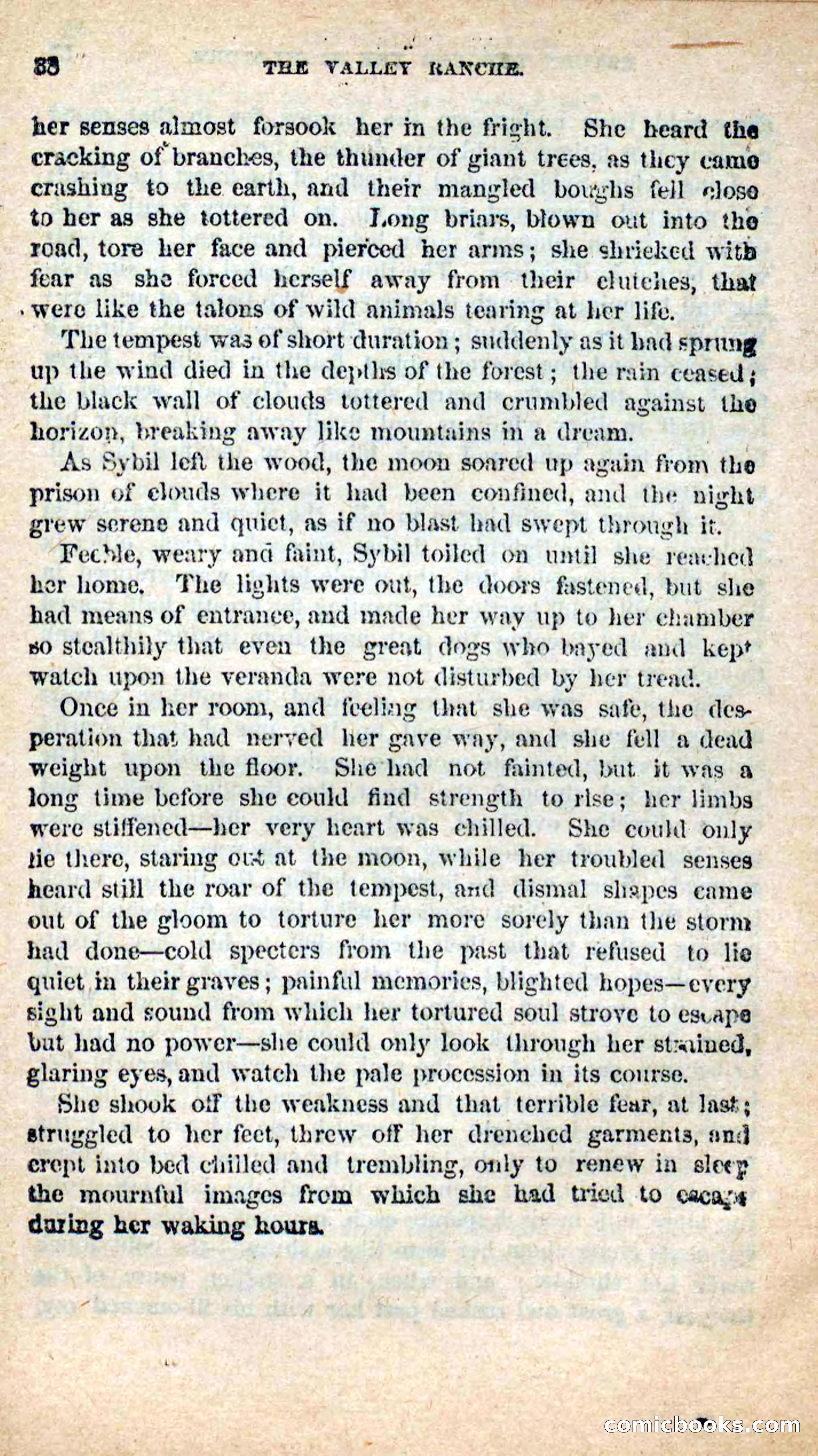 The Outlaw's Wife — page 38 of 132