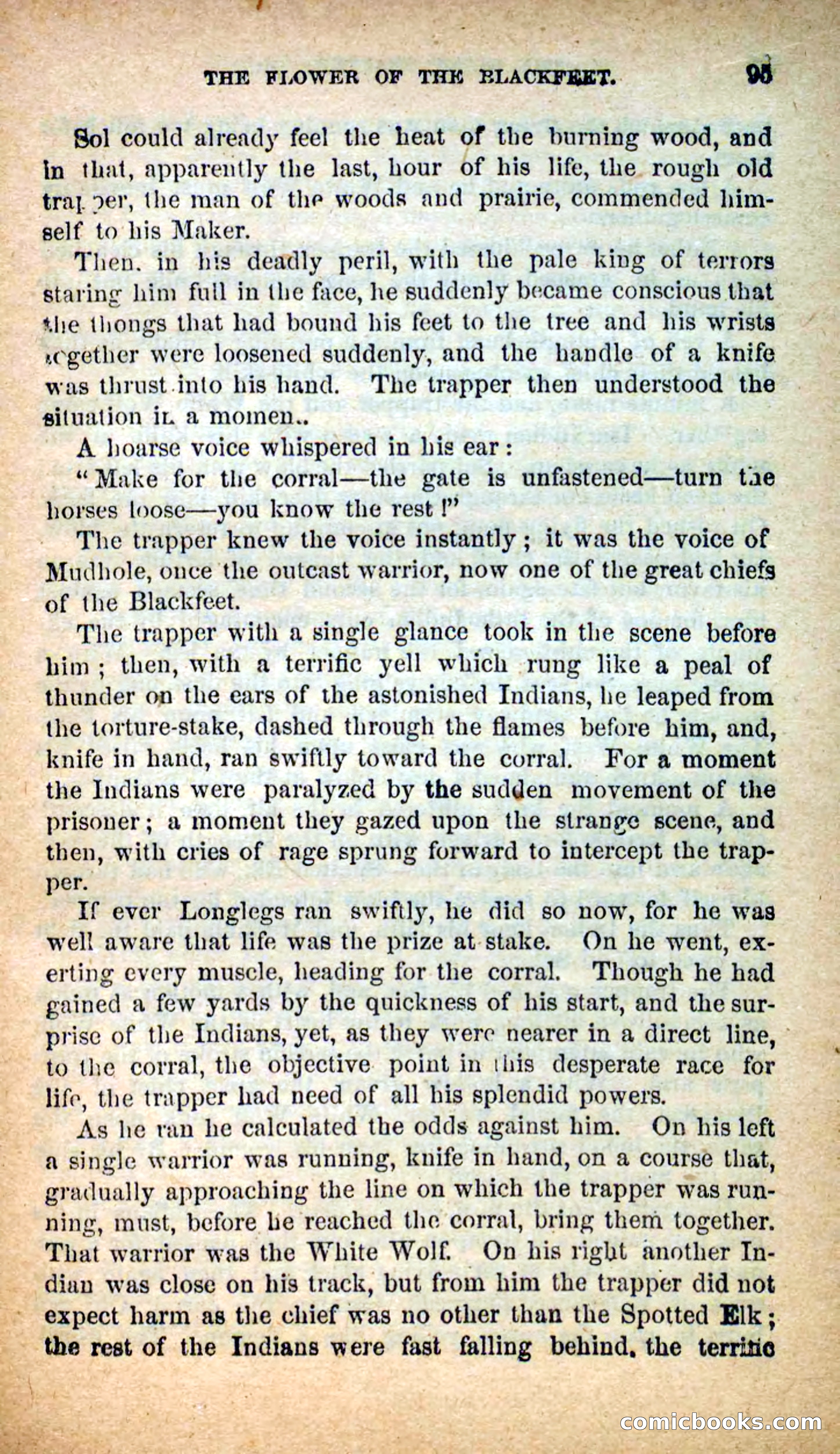 The Tall Trapper — page 91 of 100