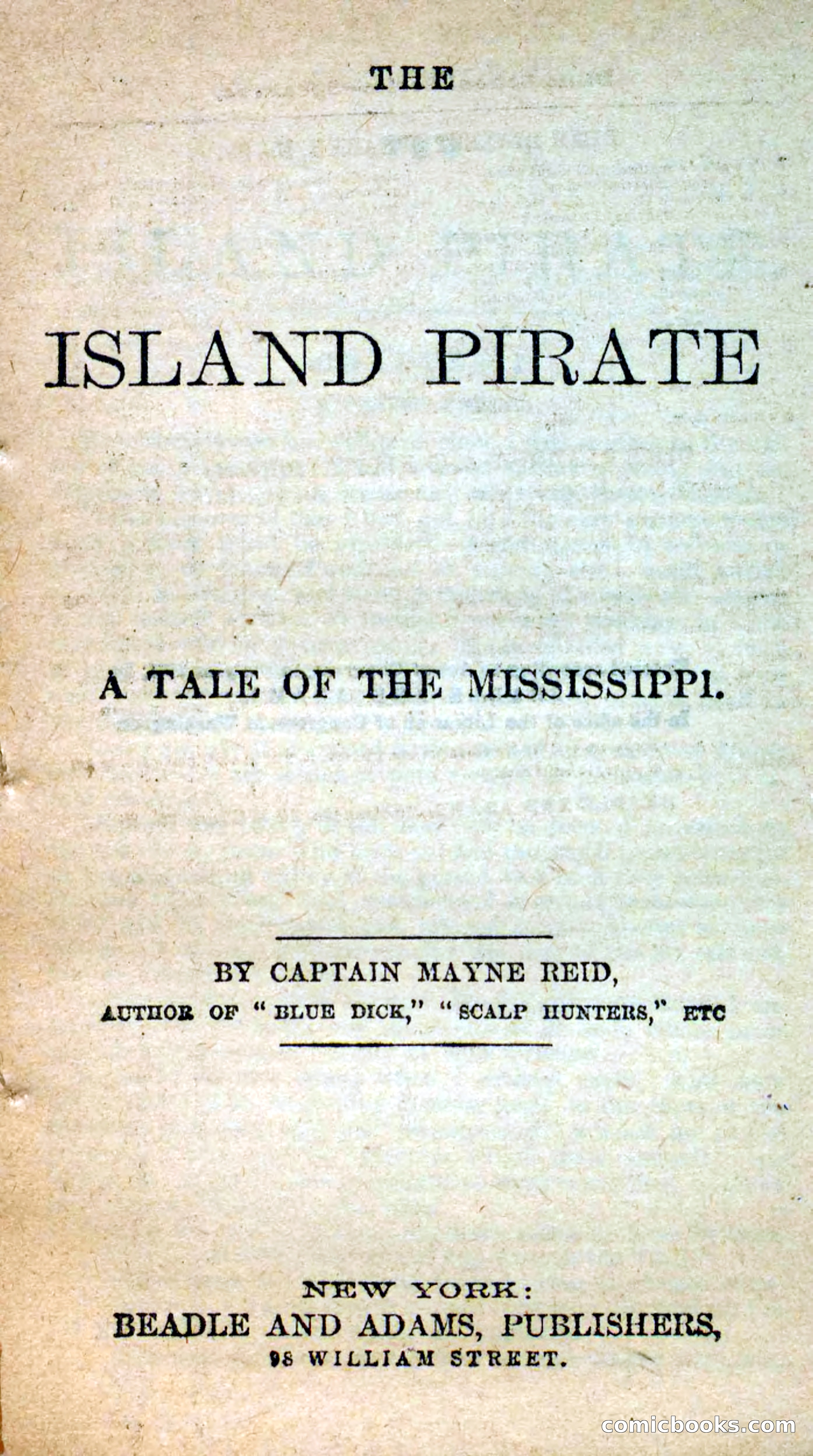The Island Pirate — page 3 of 101