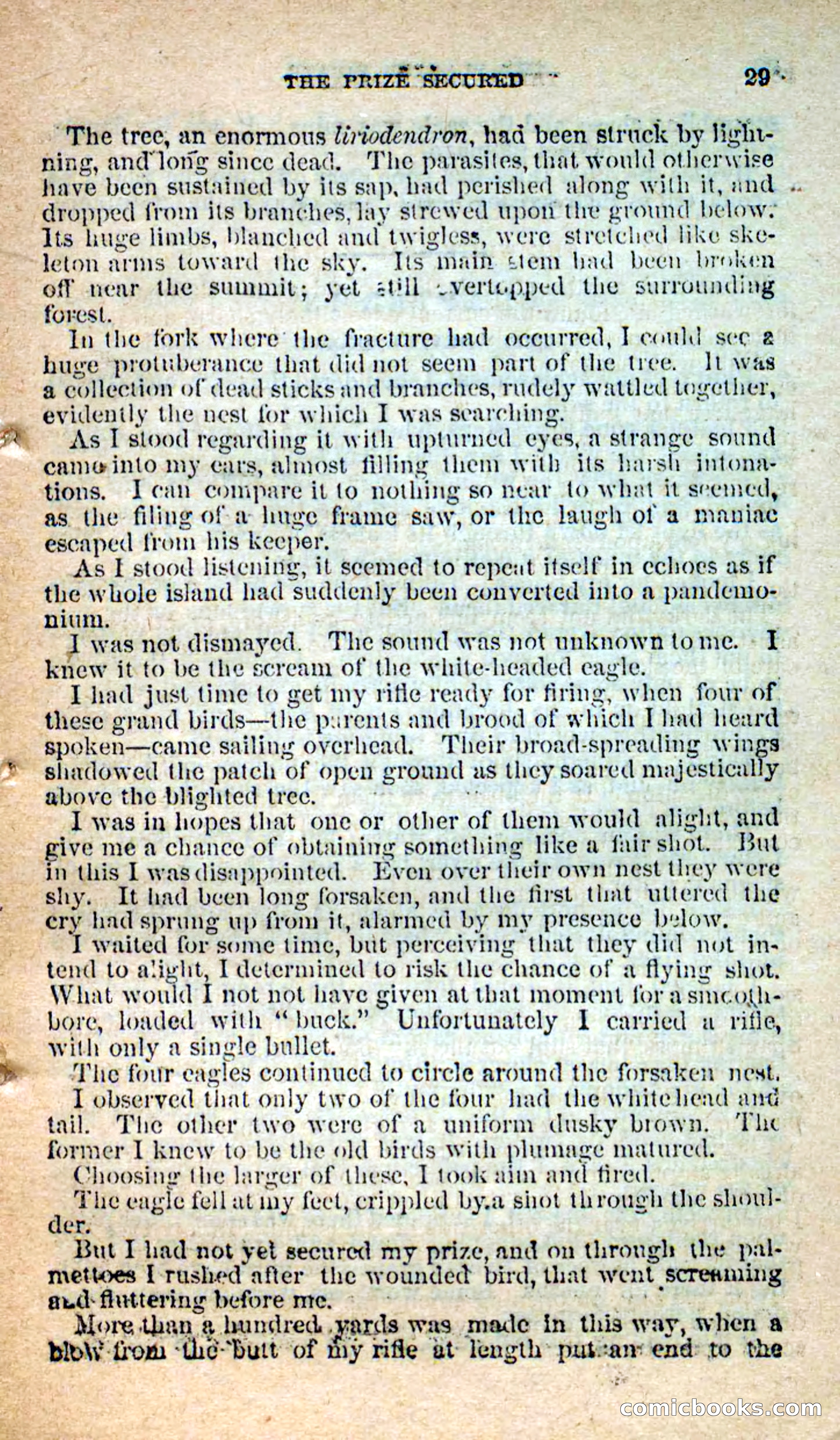 The Island Pirate — page 25 of 101