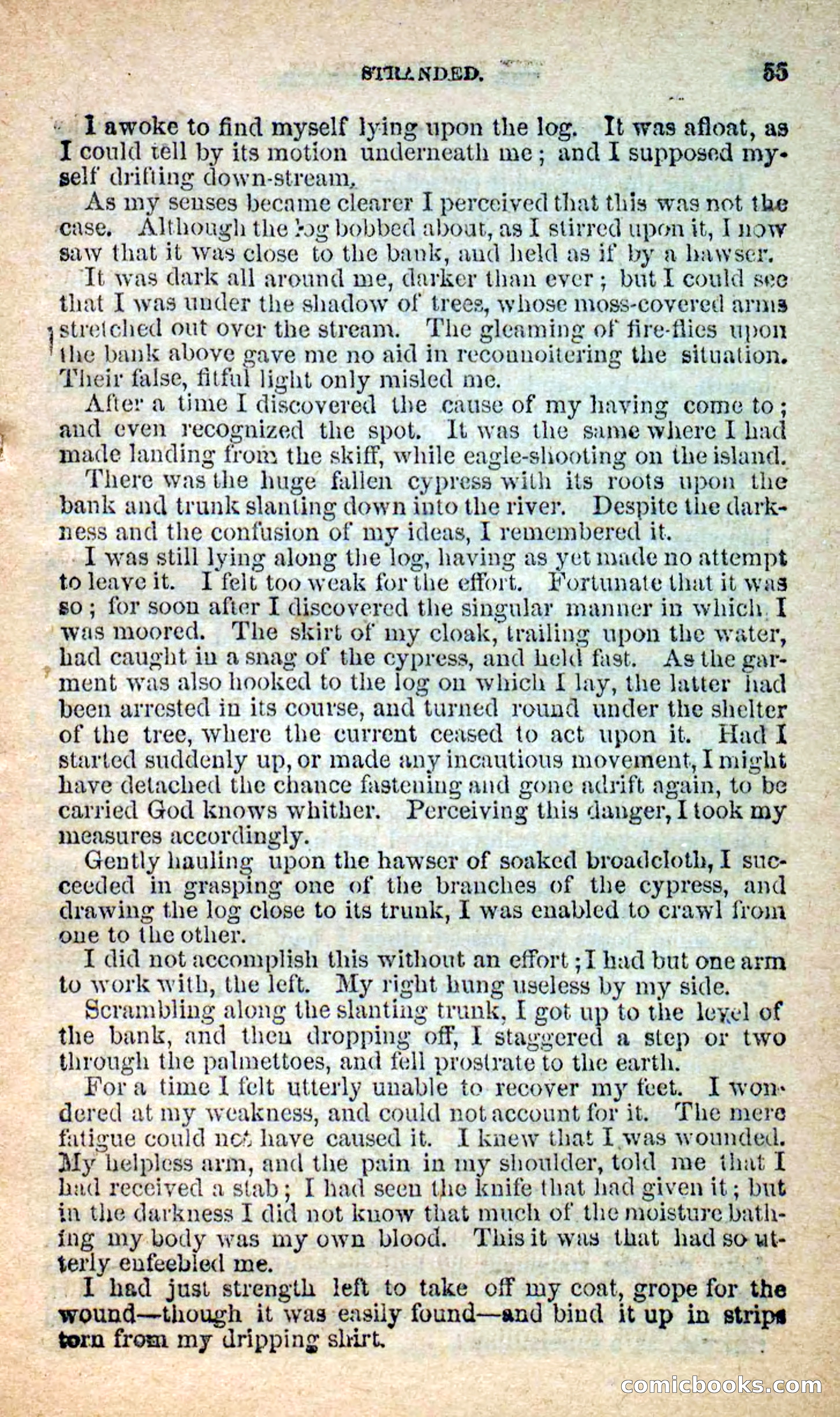 The Island Pirate — page 51 of 101