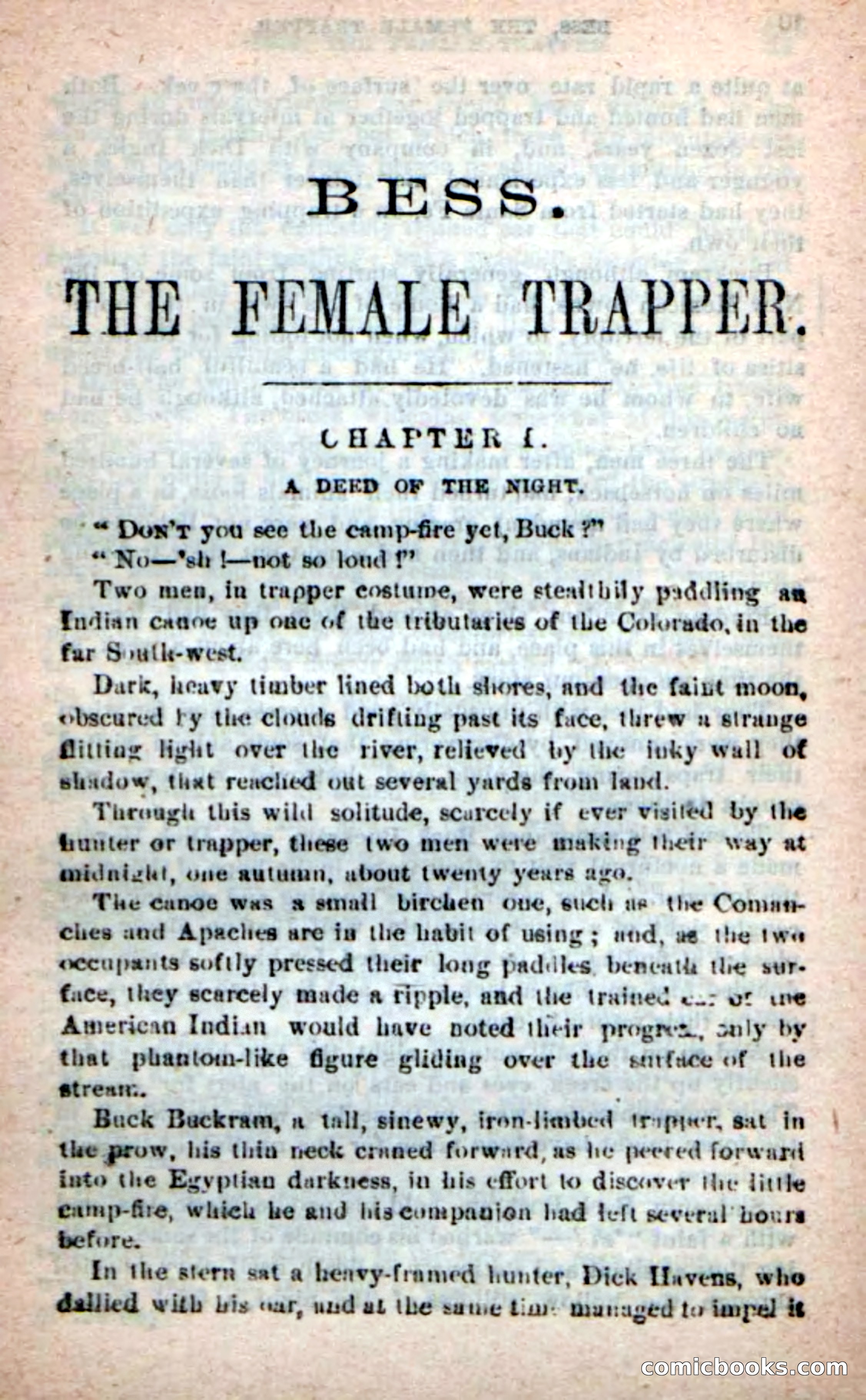 Beadle's New Dime Novels: 'Bess, the Trapper' — page 5 of 101