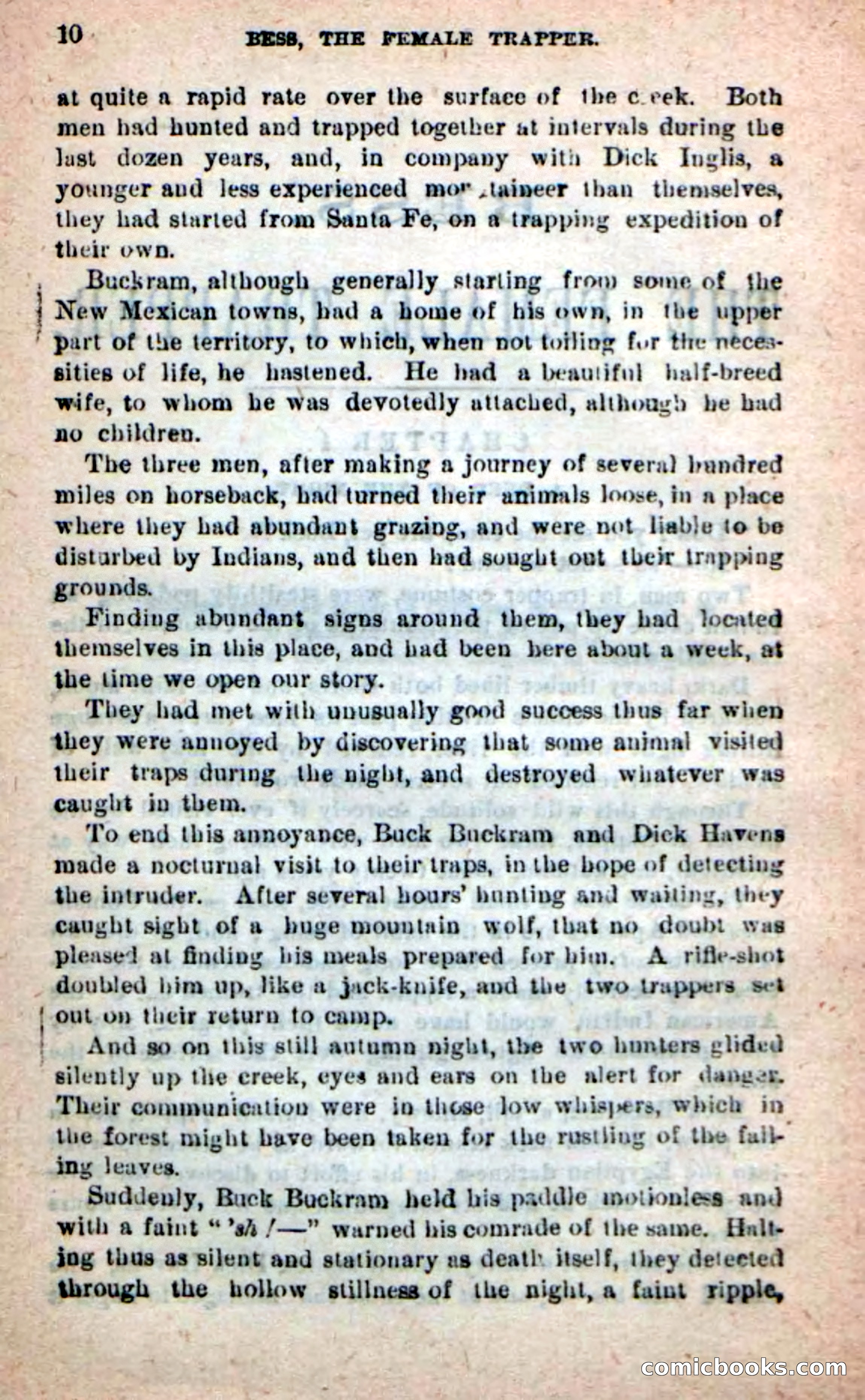 Beadle's New Dime Novels: 'Bess, the Trapper' — page 6 of 101