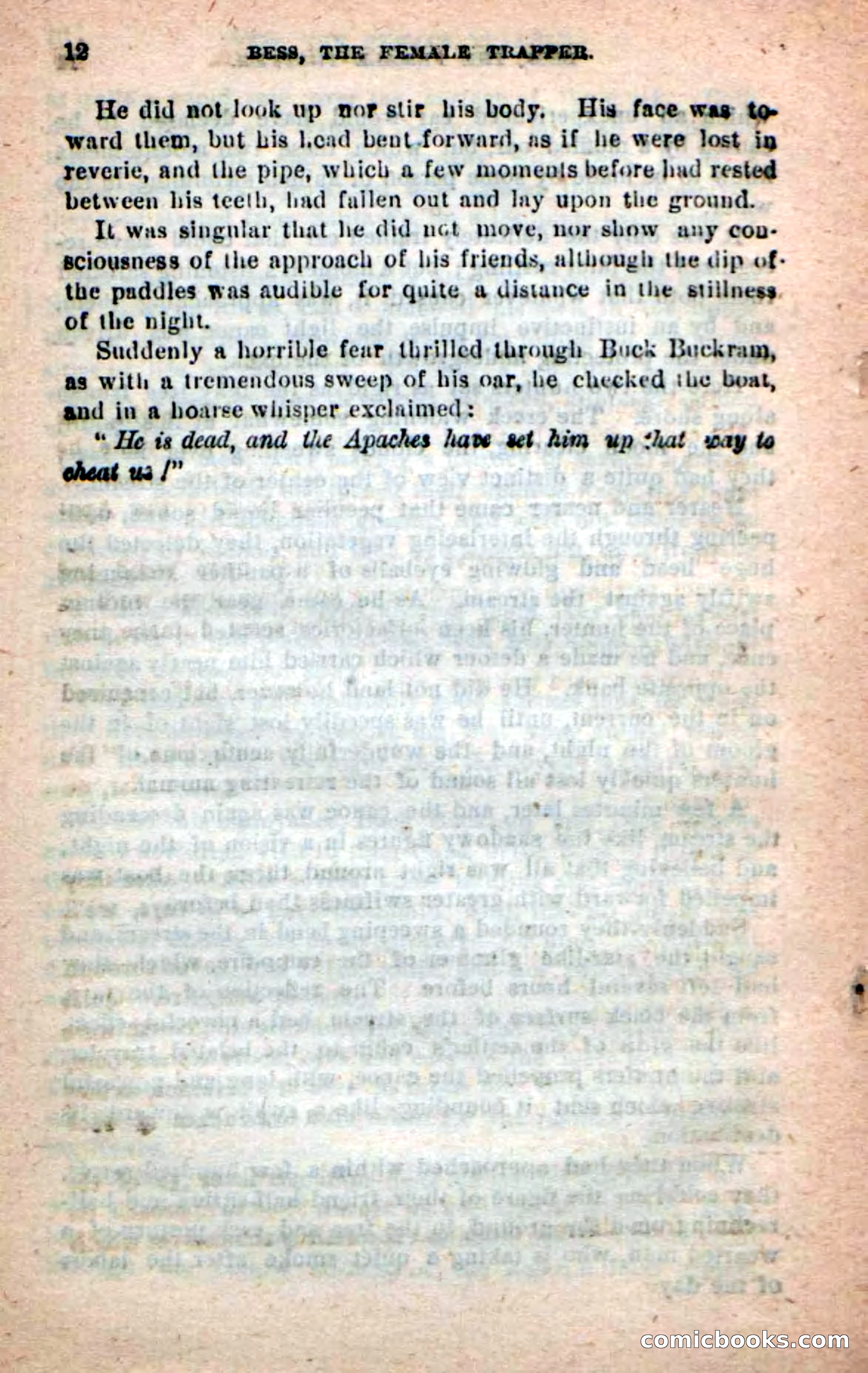 Beadle's New Dime Novels: 'Bess, the Trapper' — page 8 of 101