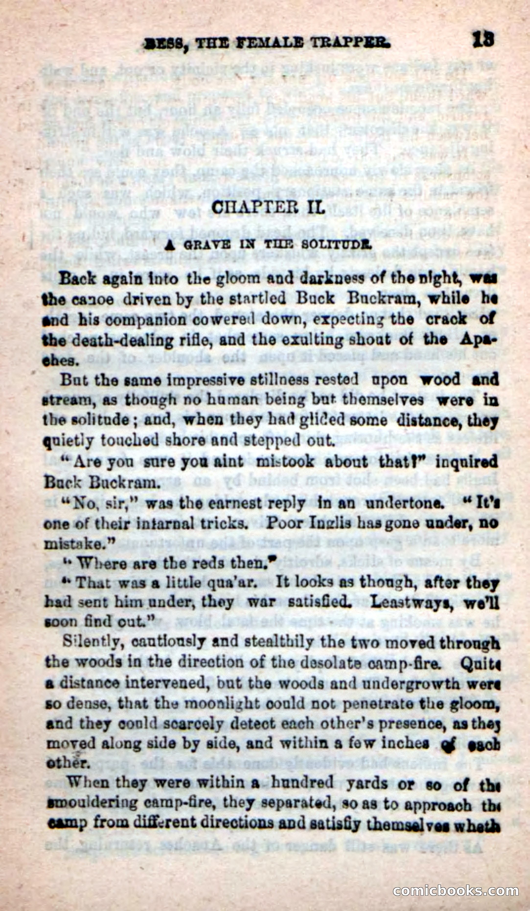 Beadle's New Dime Novels: 'Bess, the Trapper' — page 9 of 101