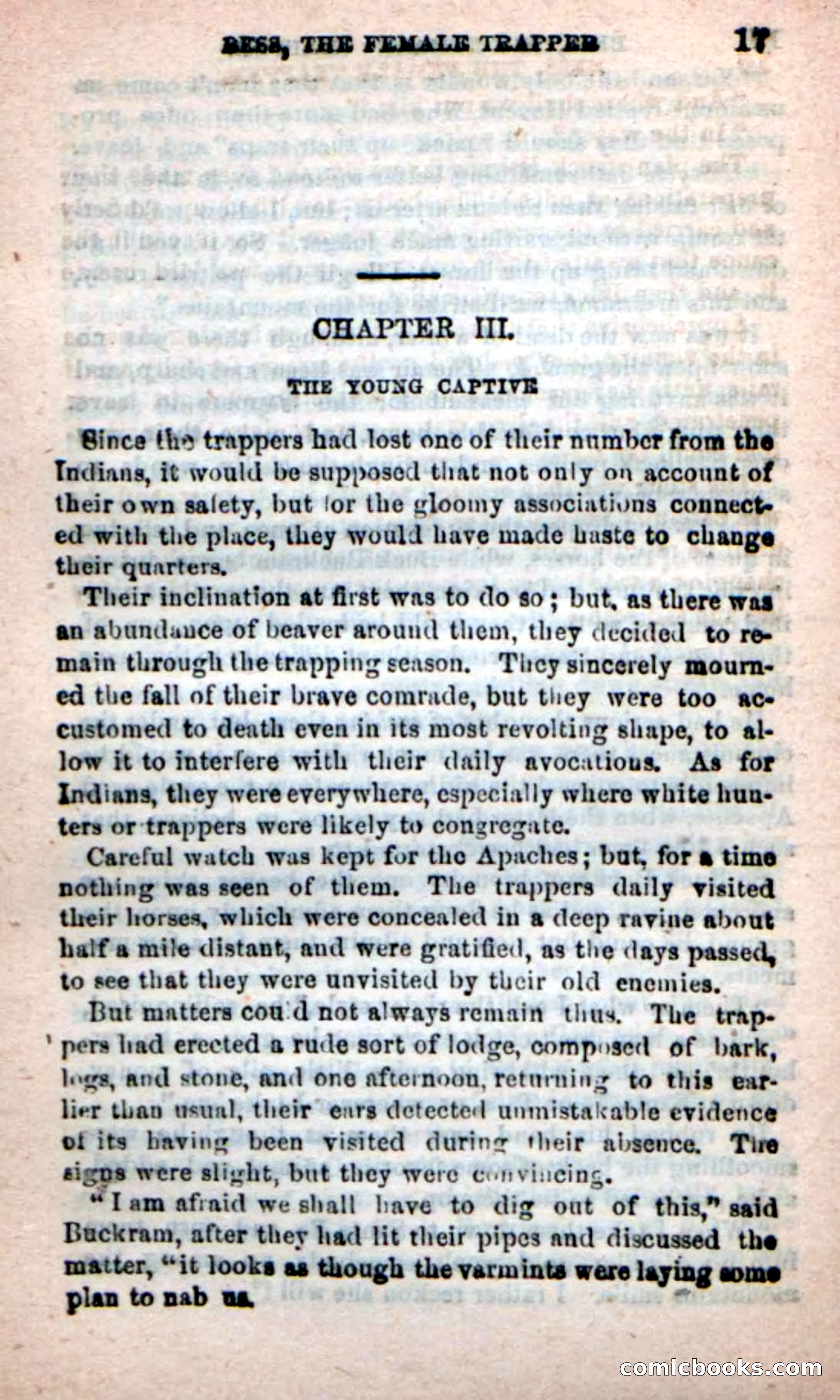 Beadle's New Dime Novels: 'Bess, the Trapper' — page 13 of 101