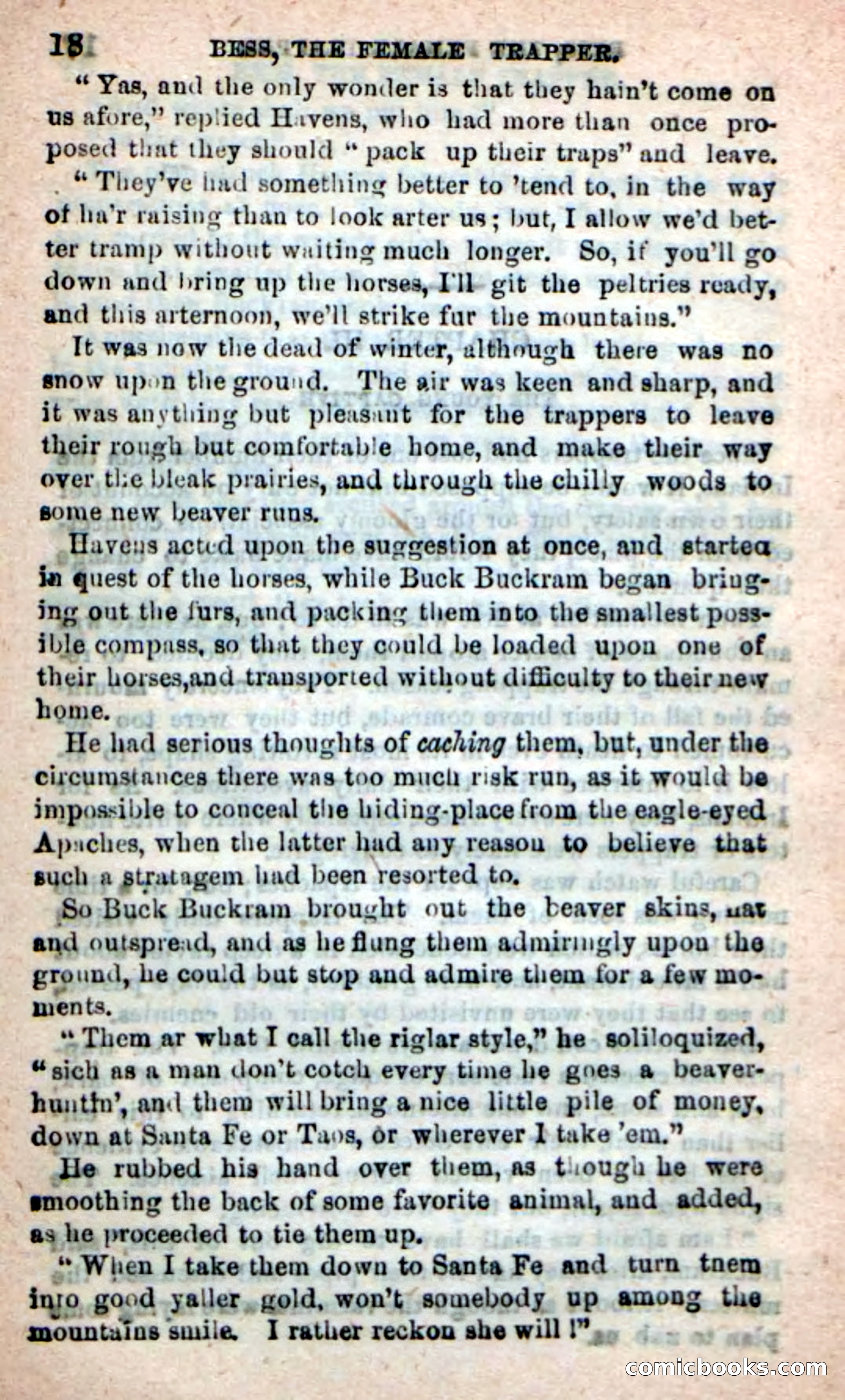 Beadle's New Dime Novels: 'Bess, the Trapper' — page 14 of 101