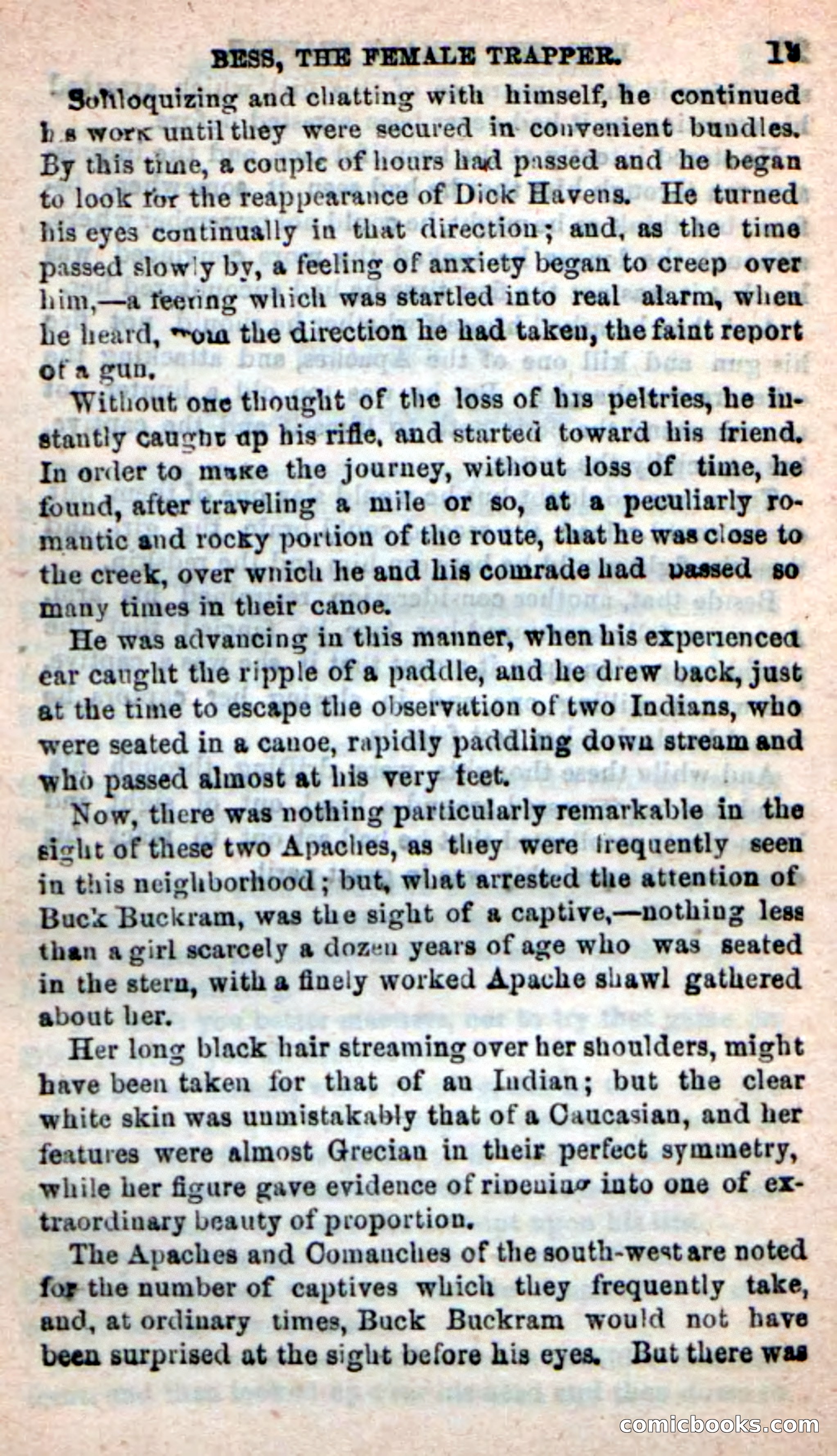 Beadle's New Dime Novels: 'Bess, the Trapper' — page 15 of 101