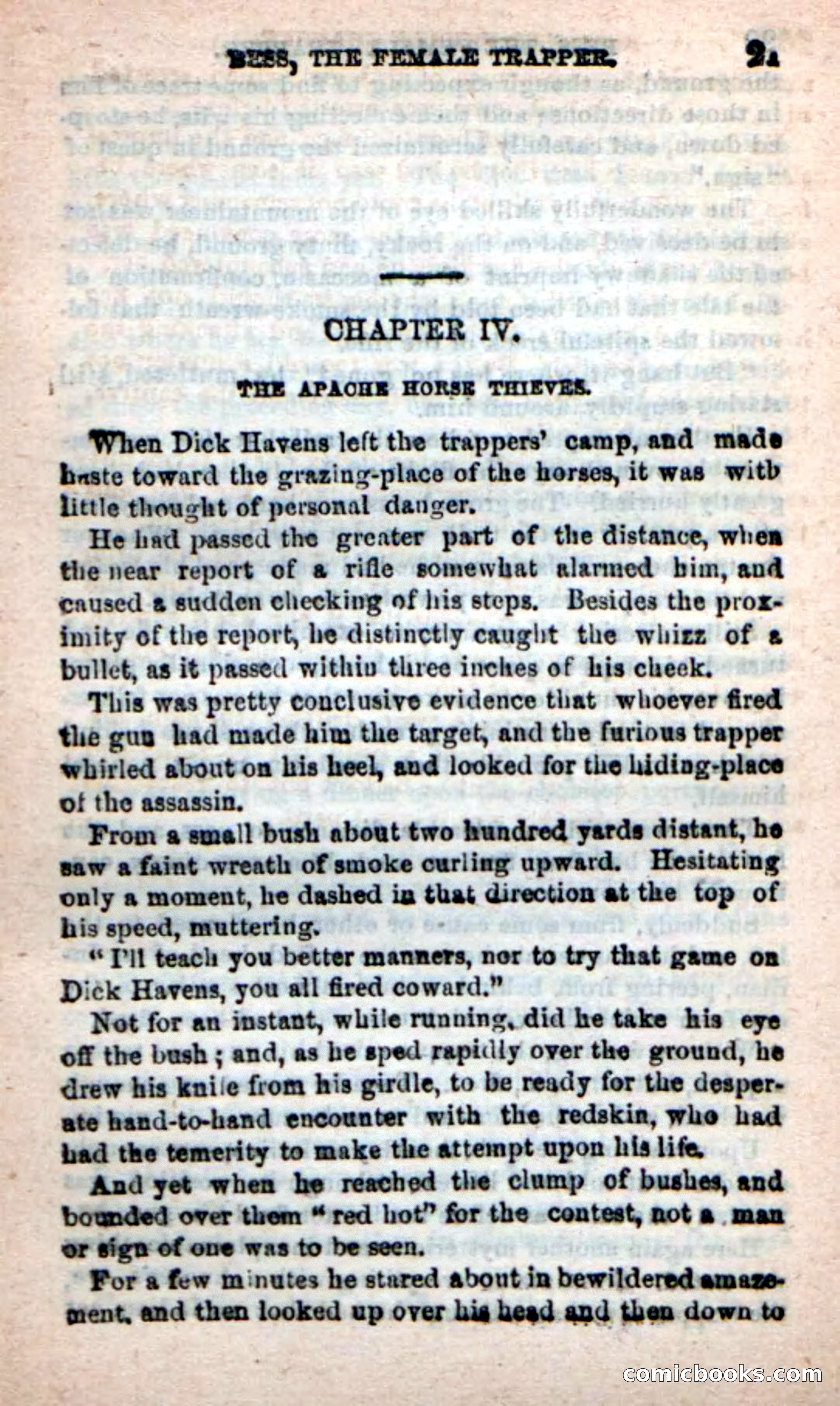Beadle's New Dime Novels: 'Bess, the Trapper' — page 17 of 101
