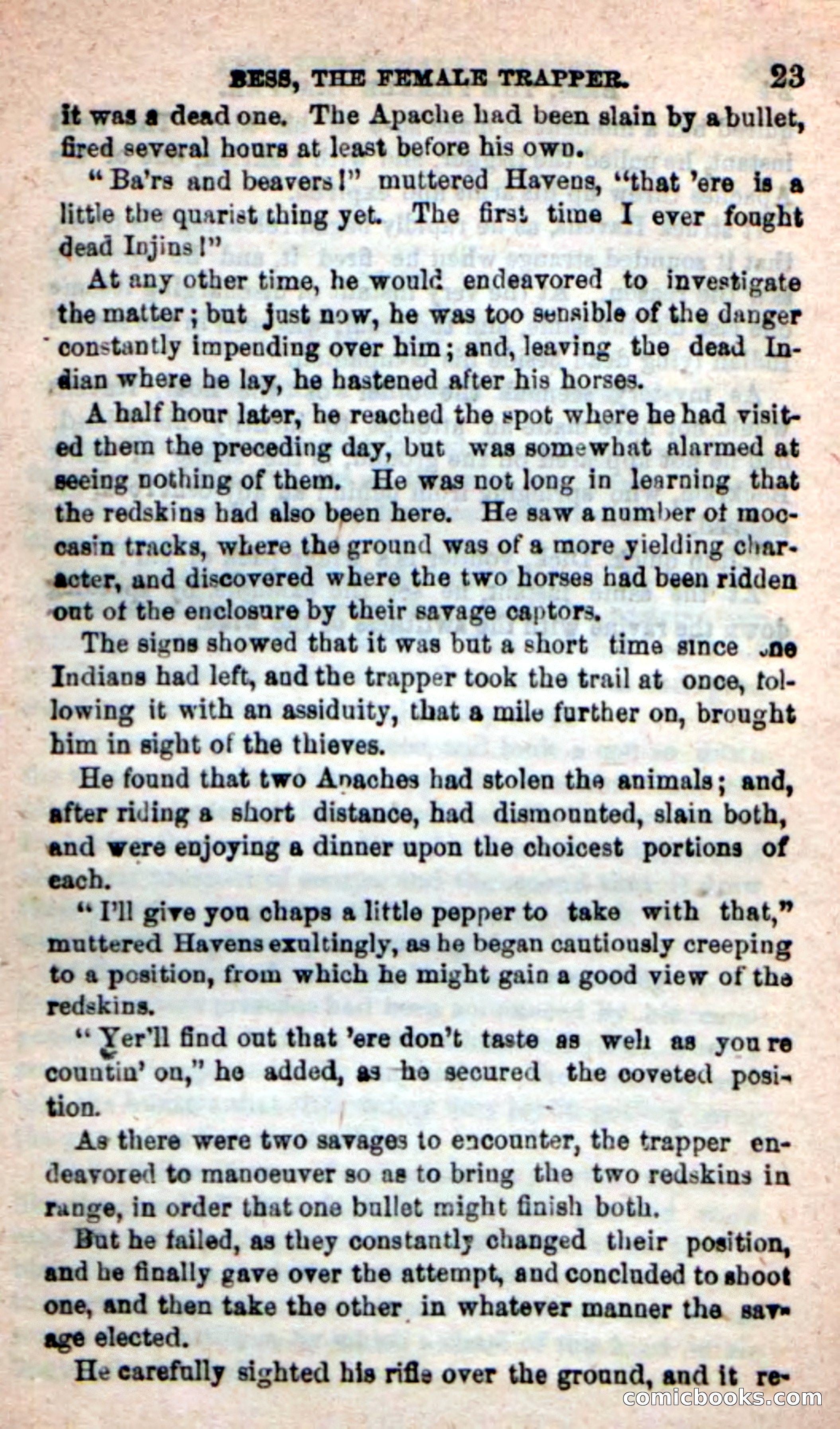 Beadle's New Dime Novels: 'Bess, the Trapper' — page 19 of 101