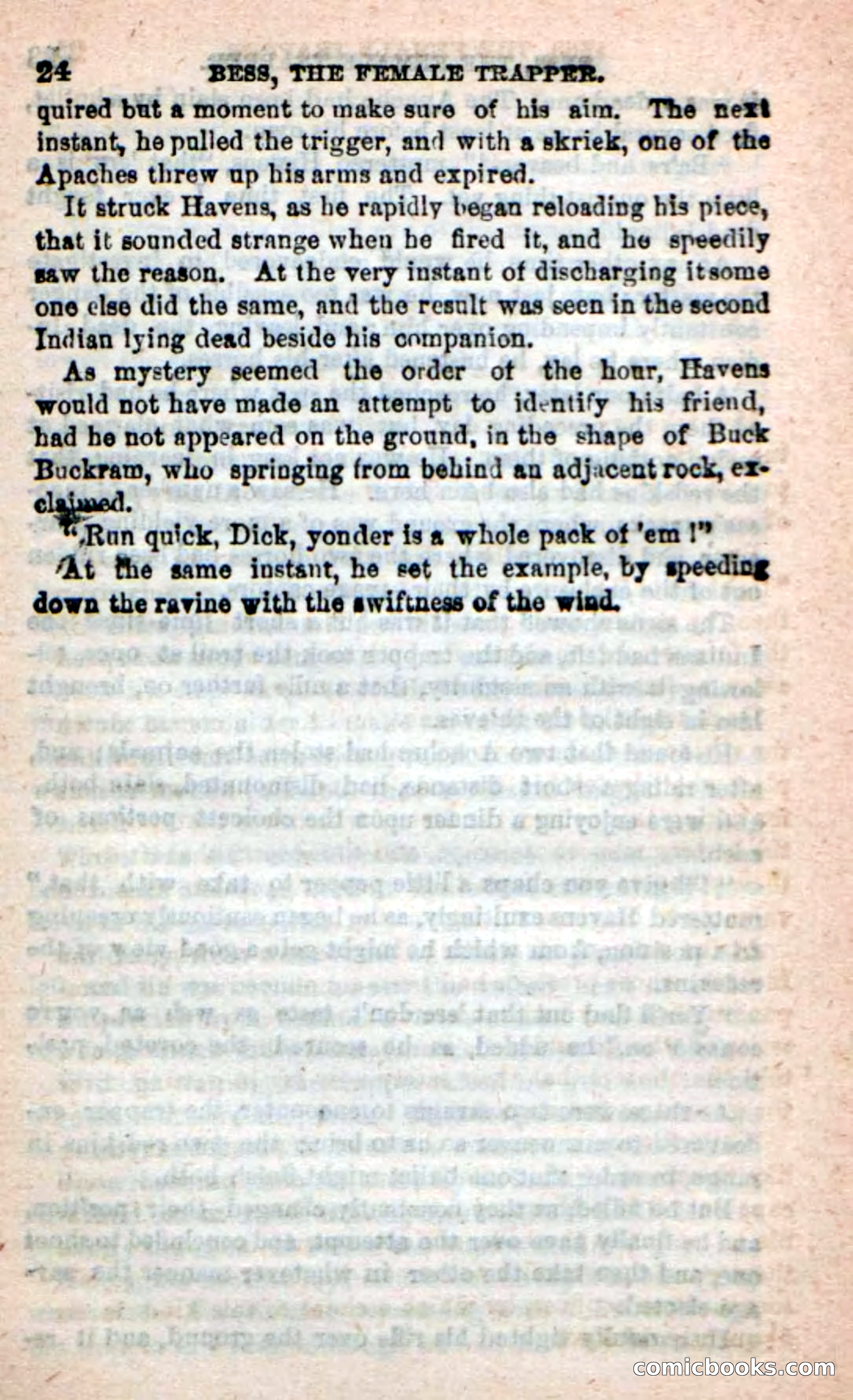 Beadle's New Dime Novels: 'Bess, the Trapper' — page 20 of 101