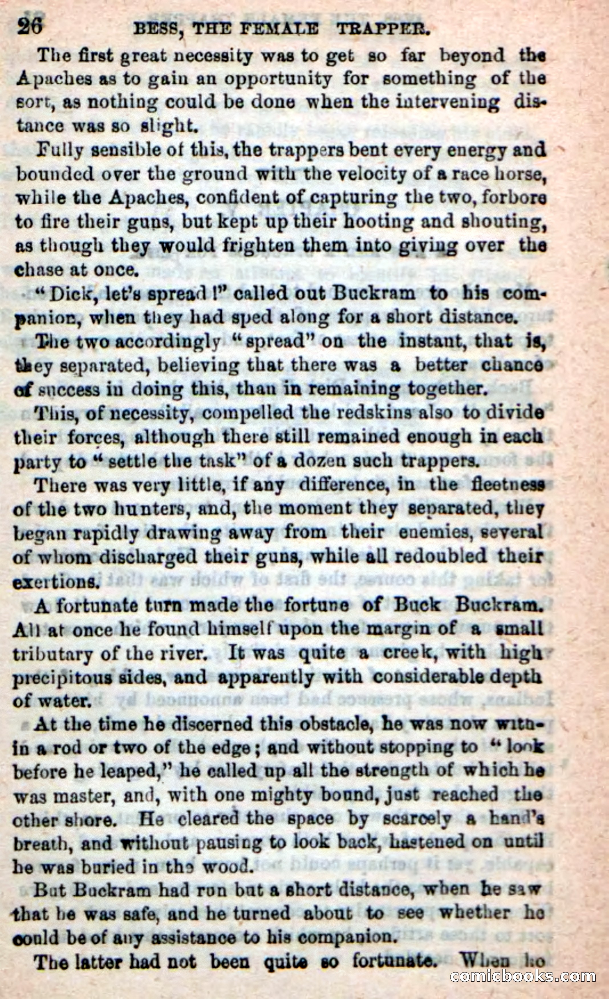 Beadle's New Dime Novels: 'Bess, the Trapper' — page 22 of 101
