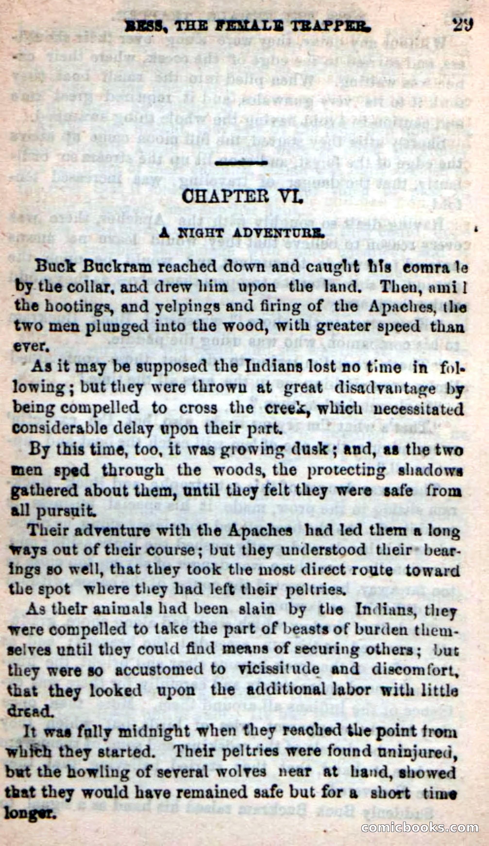 Beadle's New Dime Novels: 'Bess, the Trapper' — page 25 of 101