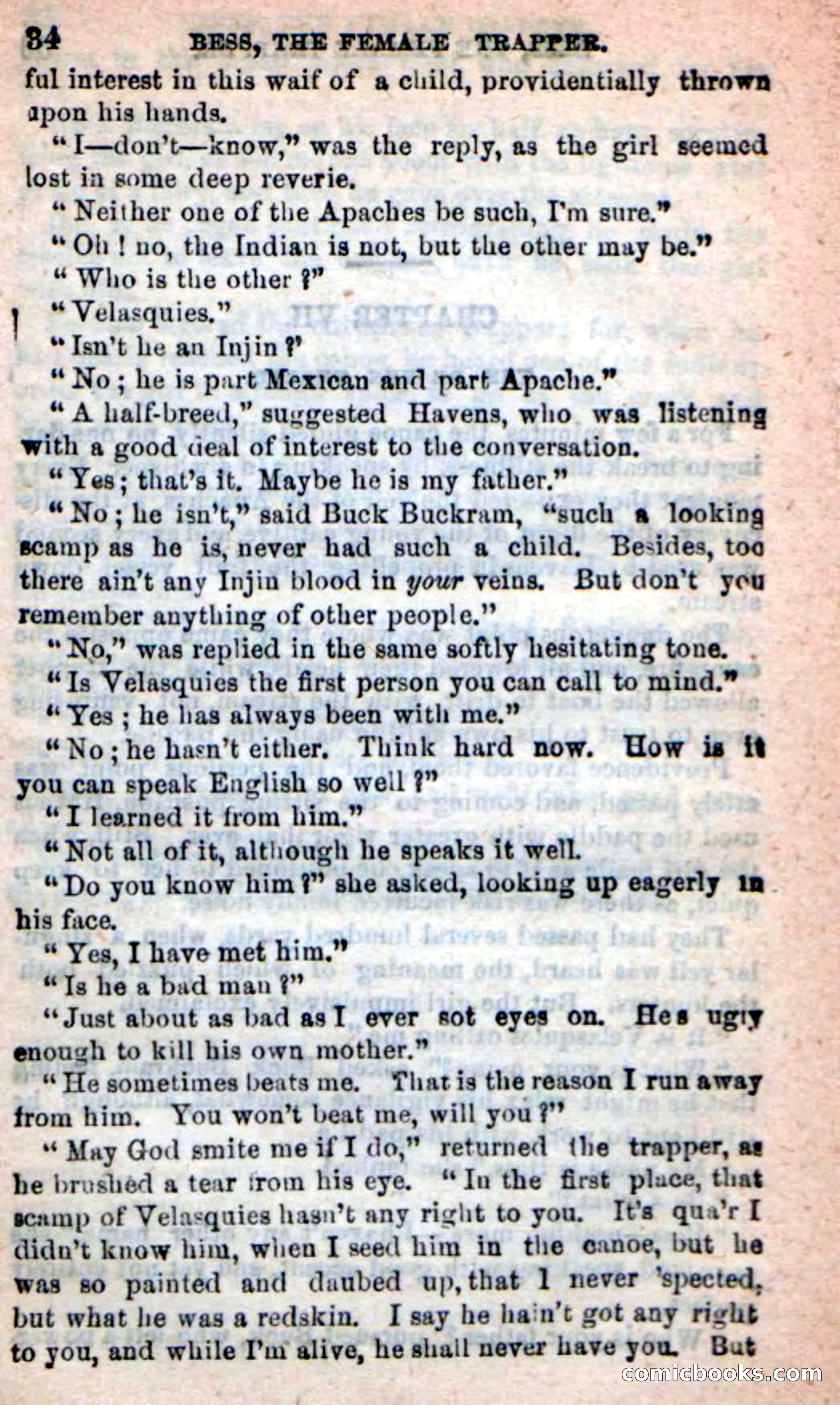 Beadle's New Dime Novels: 'Bess, the Trapper' — page 31 of 101