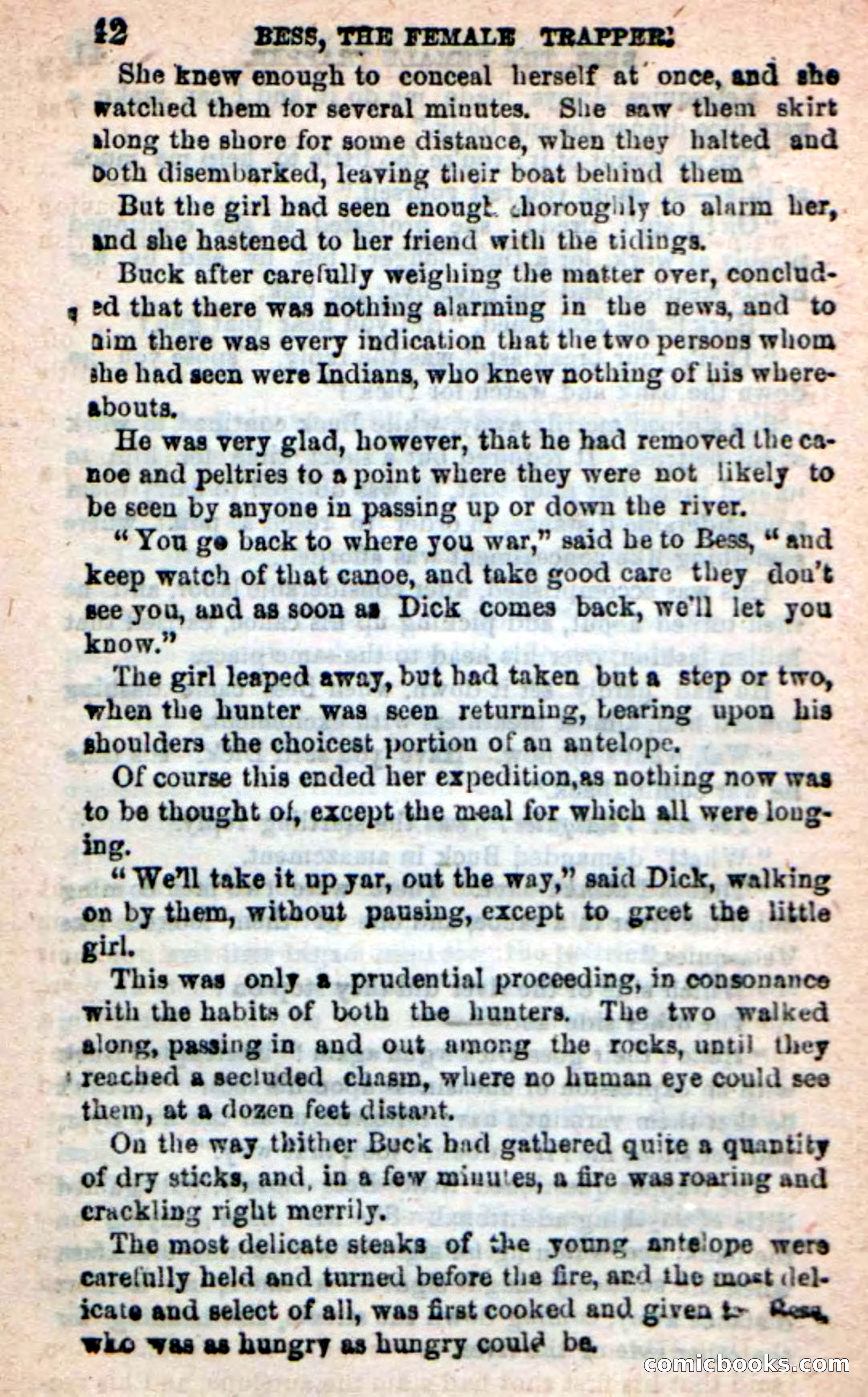 Beadle's New Dime Novels: 'Bess, the Trapper' — page 39 of 101