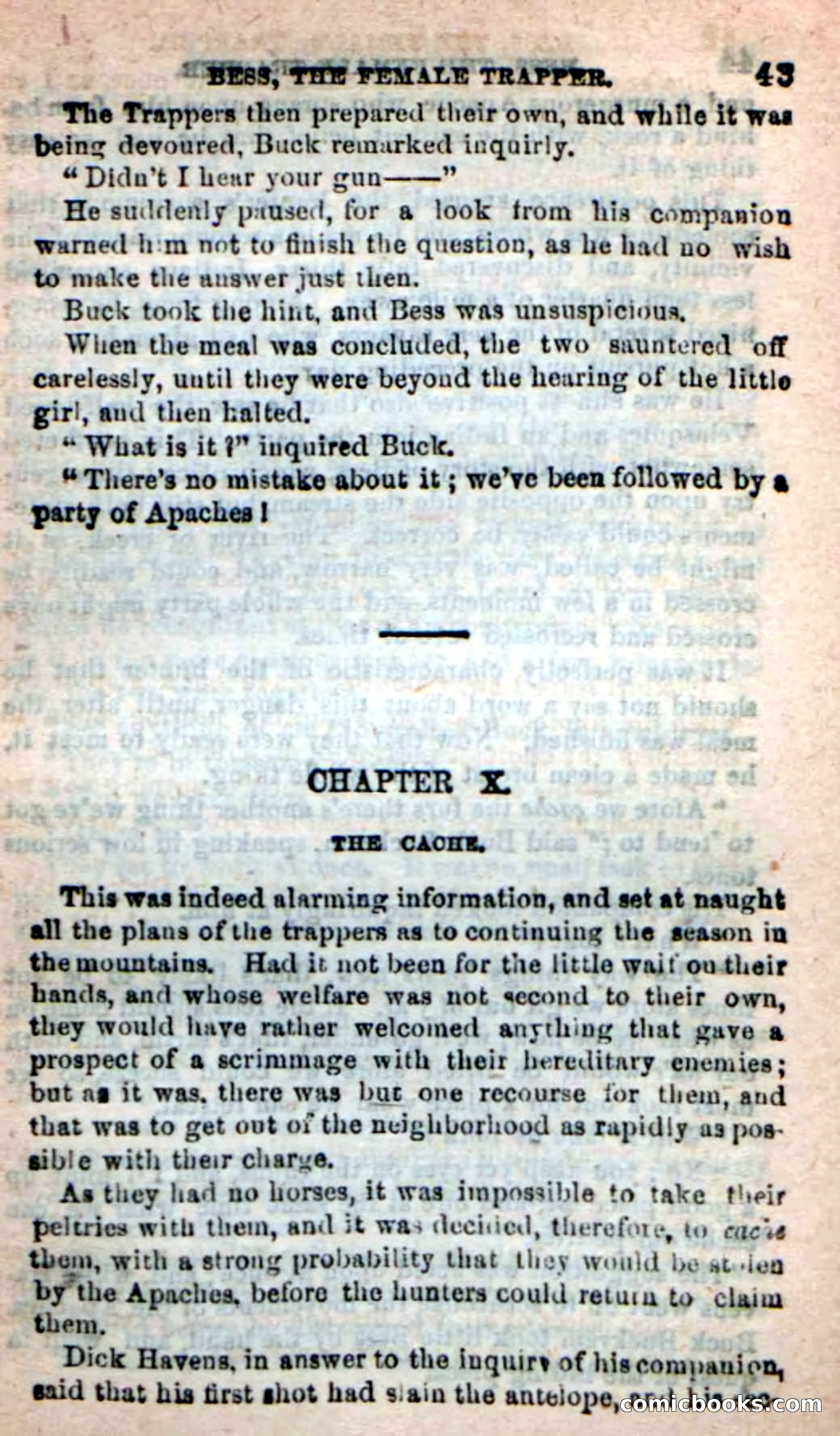 Beadle's New Dime Novels: 'Bess, the Trapper' — page 40 of 101
