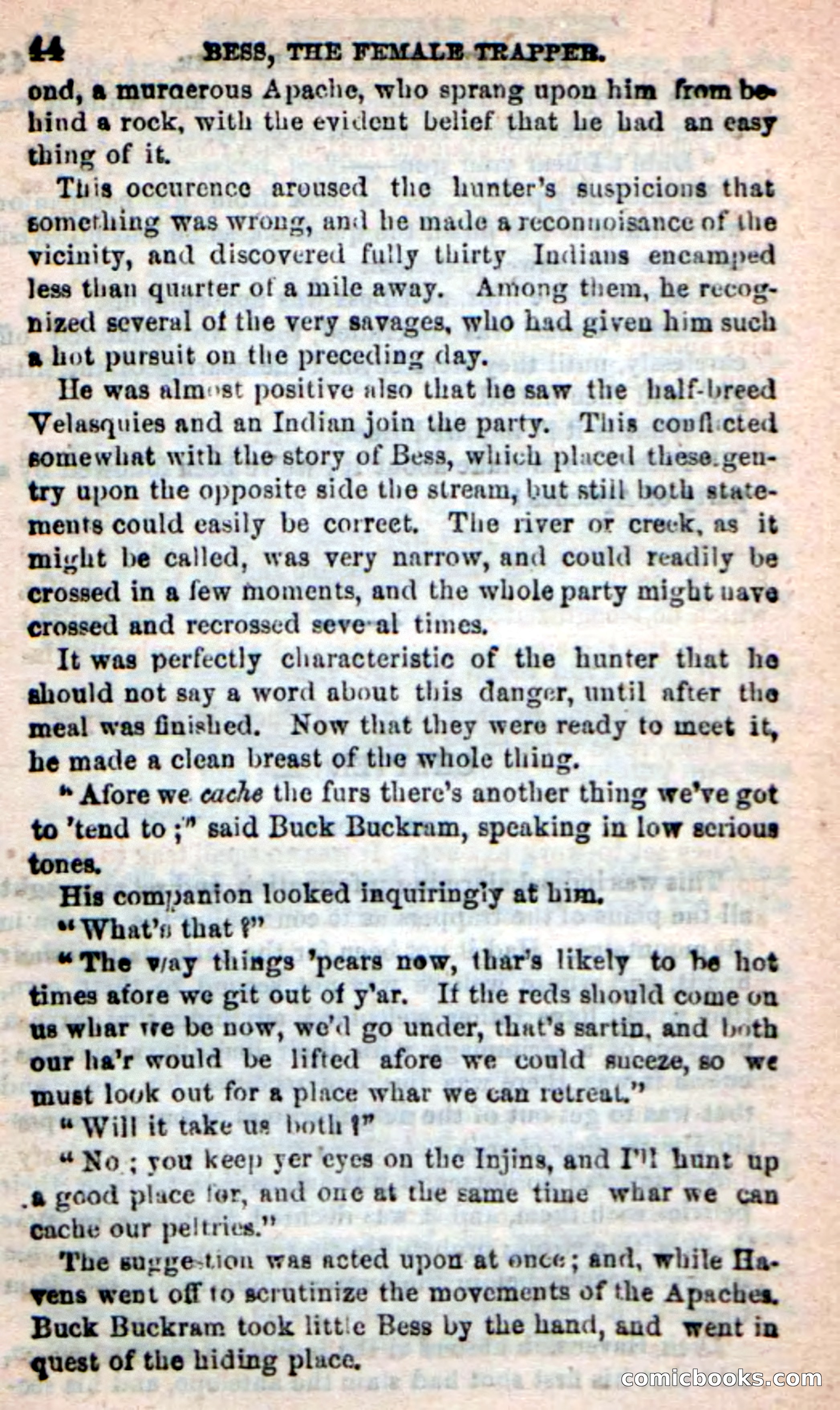 Beadle's New Dime Novels: 'Bess, the Trapper' — page 41 of 101