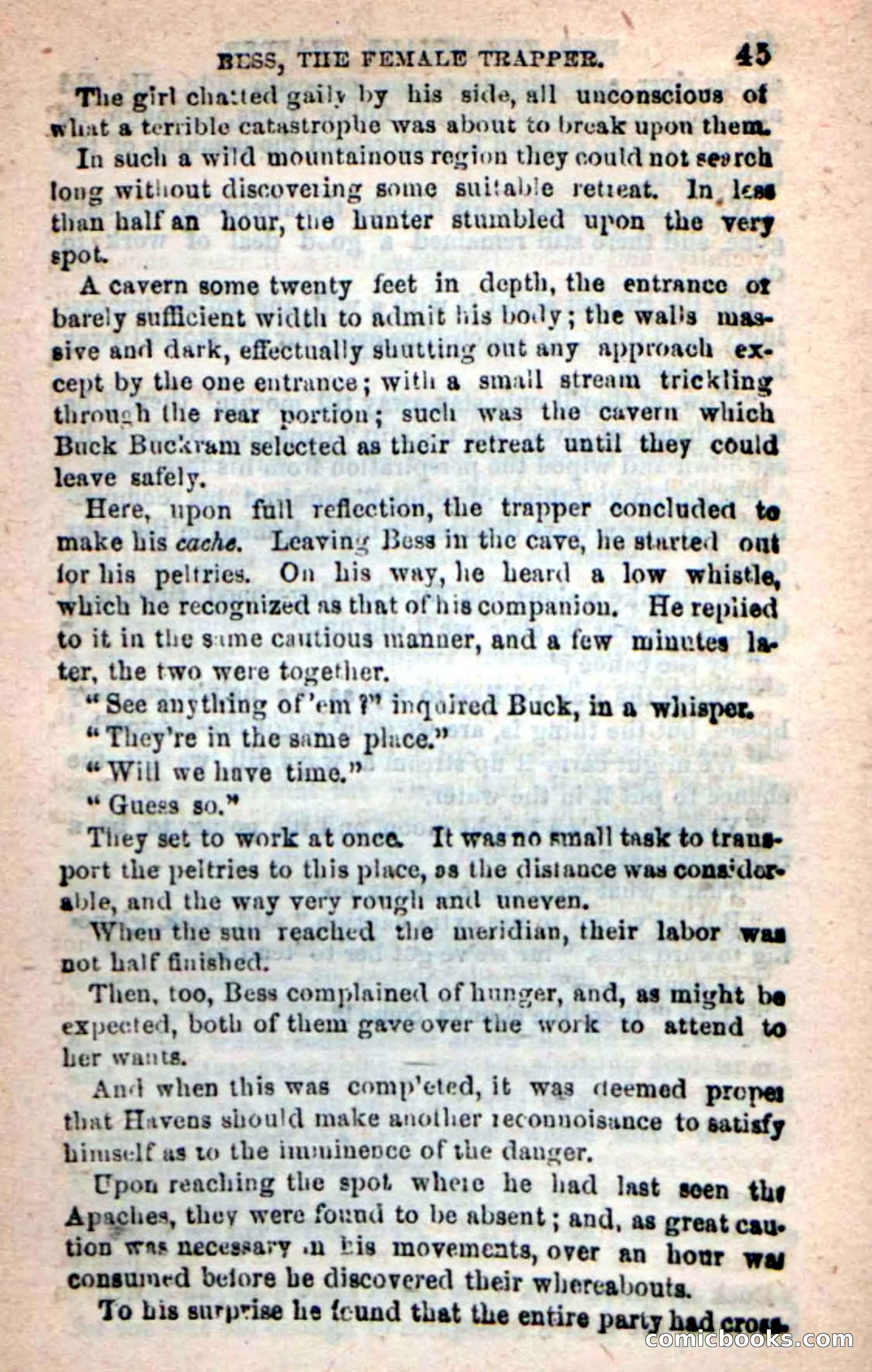 Beadle's New Dime Novels: 'Bess, the Trapper' — page 42 of 101