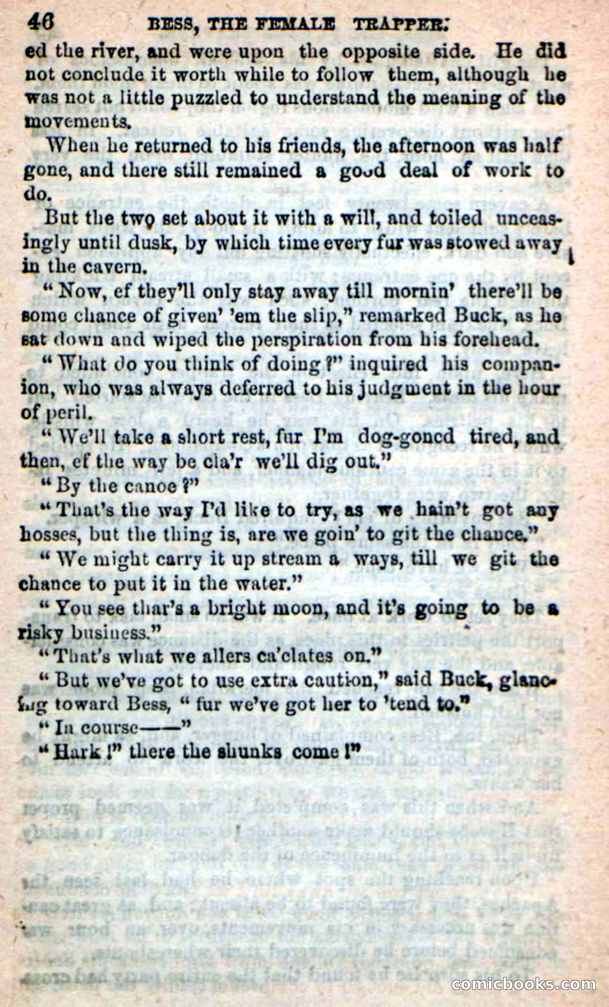 Beadle's New Dime Novels: 'Bess, the Trapper' — page 43 of 101