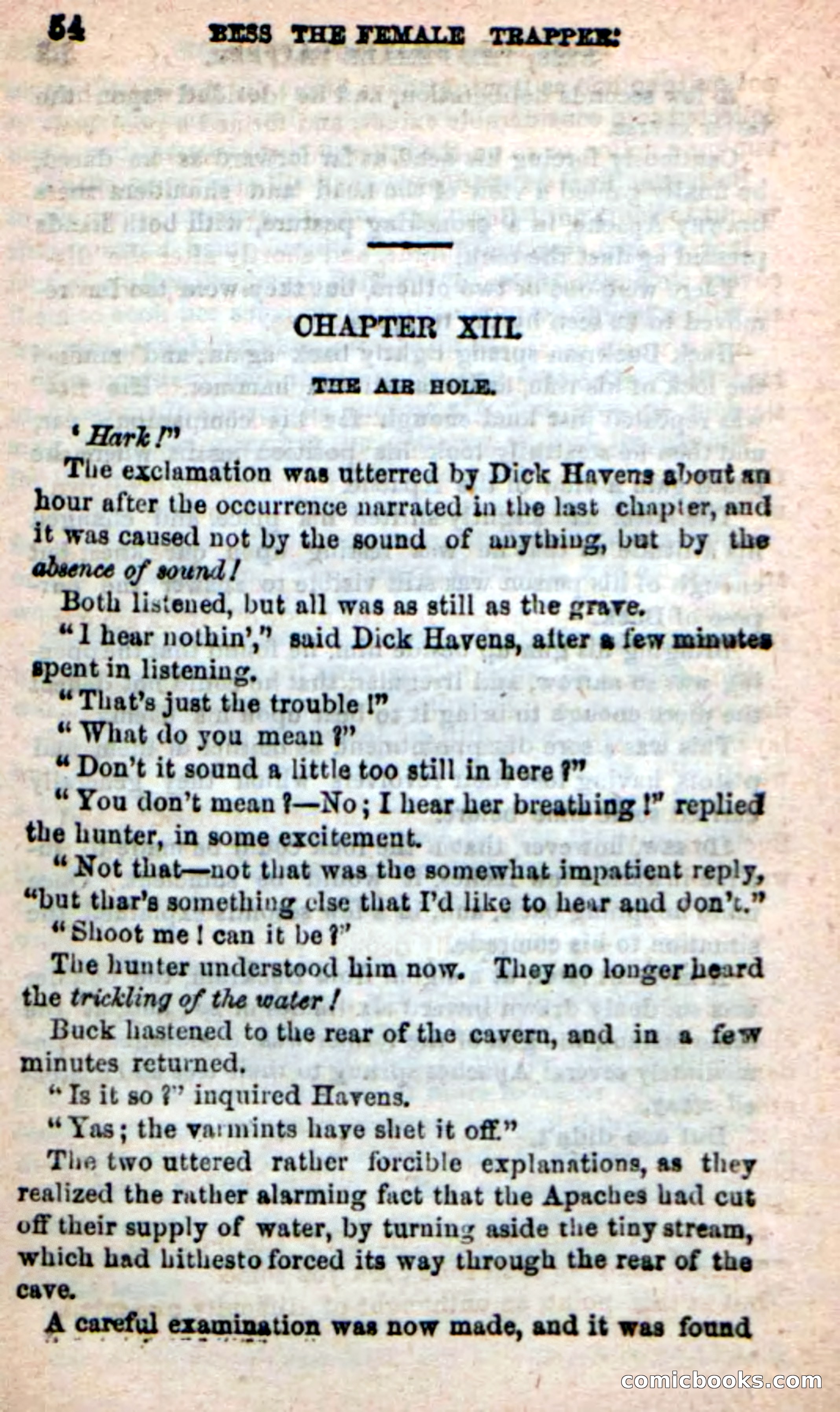 Beadle's New Dime Novels: 'Bess, the Trapper' — page 51 of 101