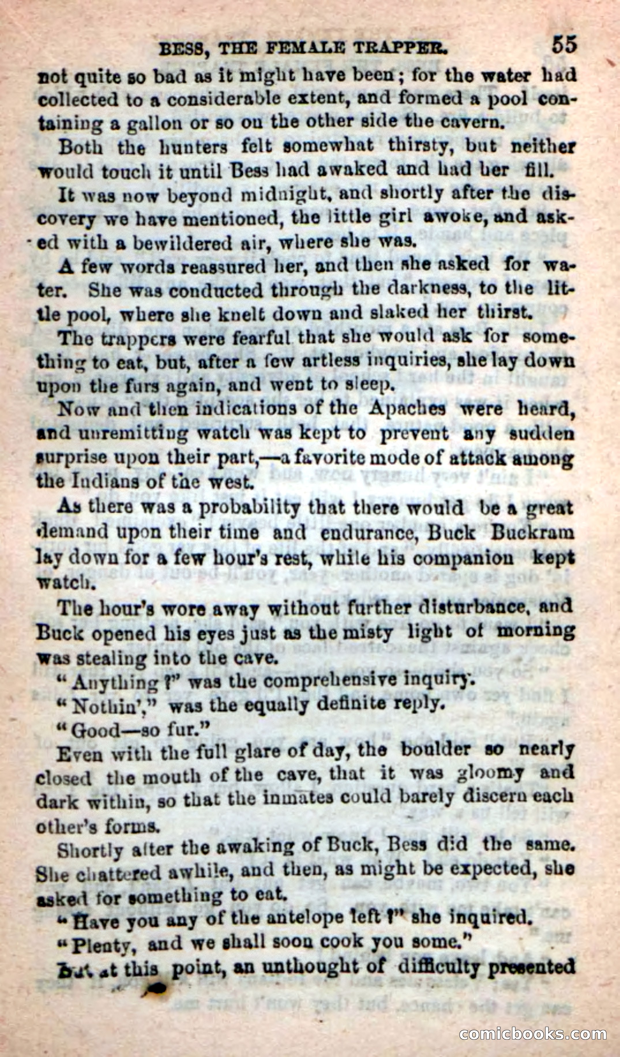 Beadle's New Dime Novels: 'Bess, the Trapper' — page 52 of 101