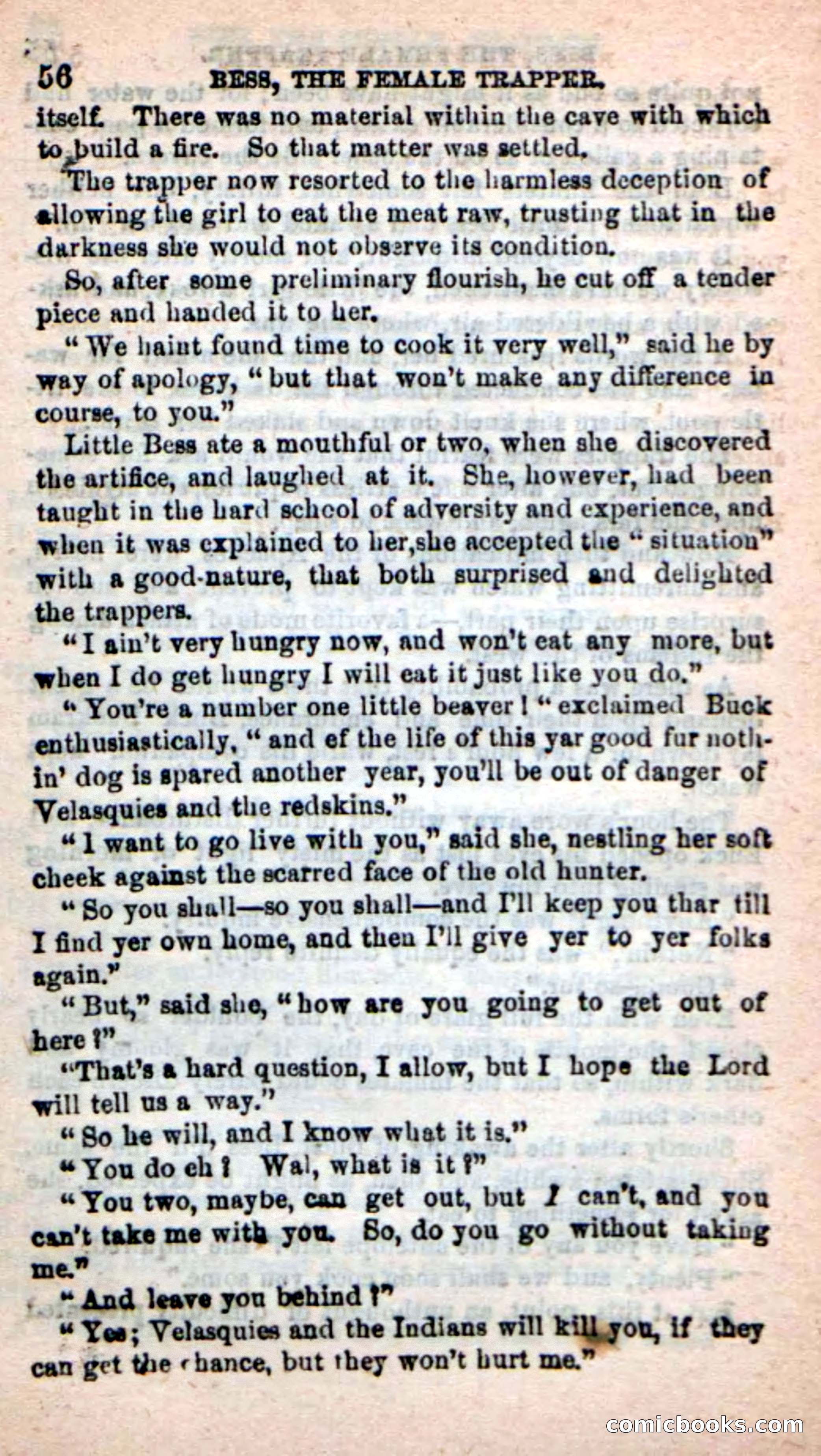 Beadle's New Dime Novels: 'Bess, the Trapper' — page 53 of 101