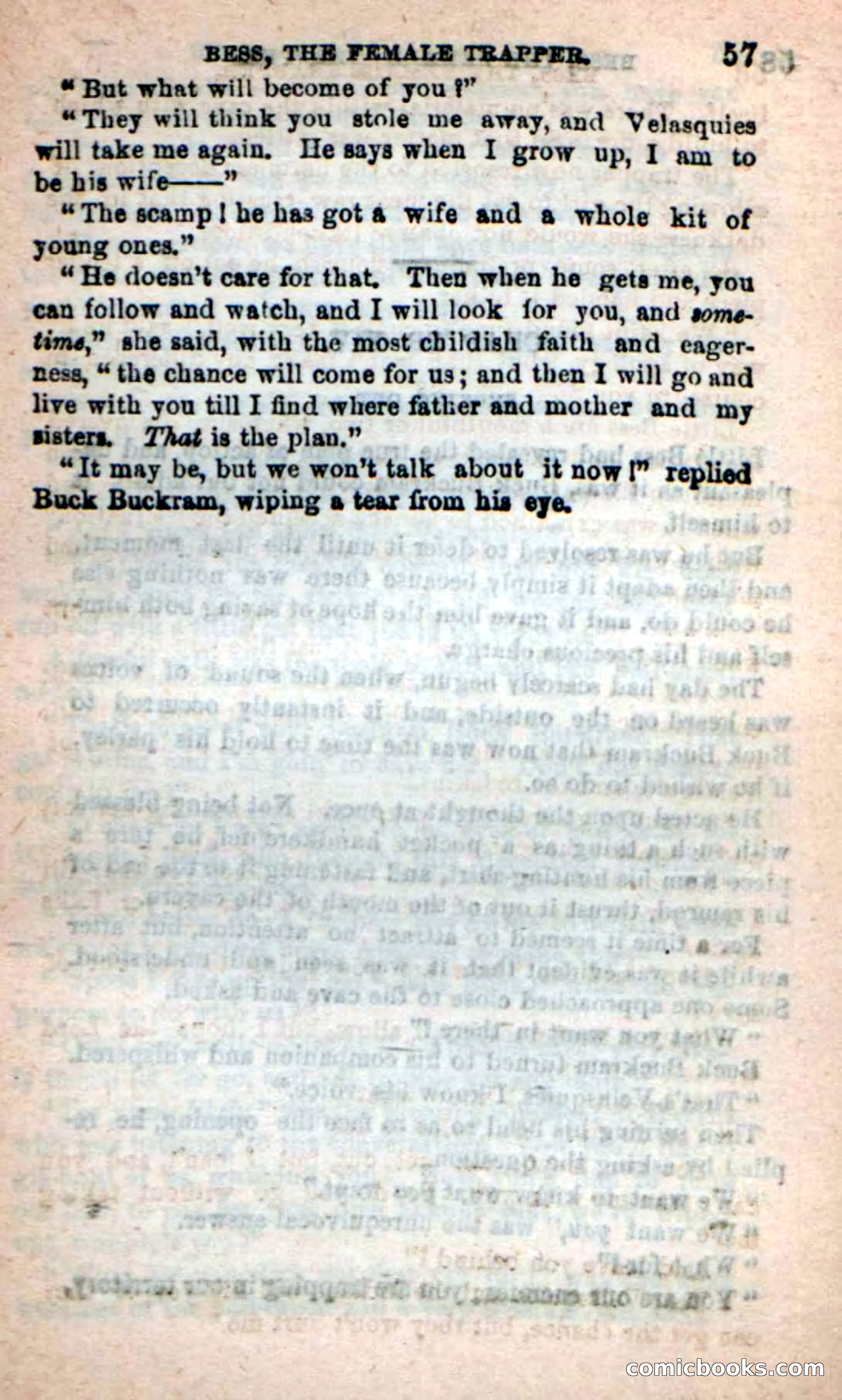 Beadle's New Dime Novels: 'Bess, the Trapper' — page 54 of 101
