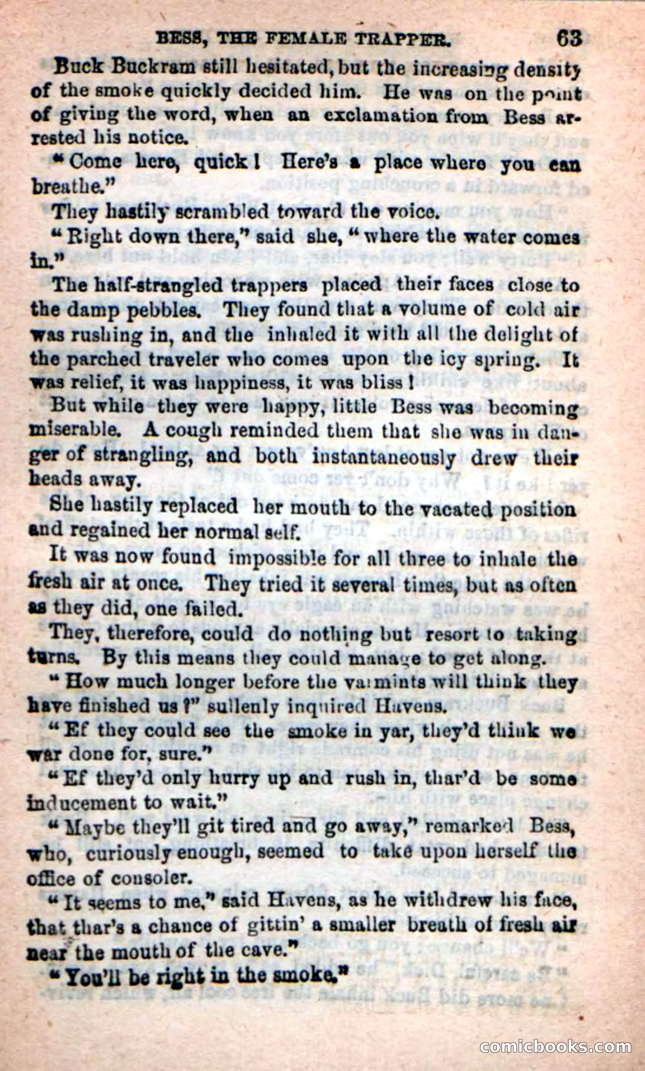 Beadle's New Dime Novels: 'Bess, the Trapper' — page 60 of 101