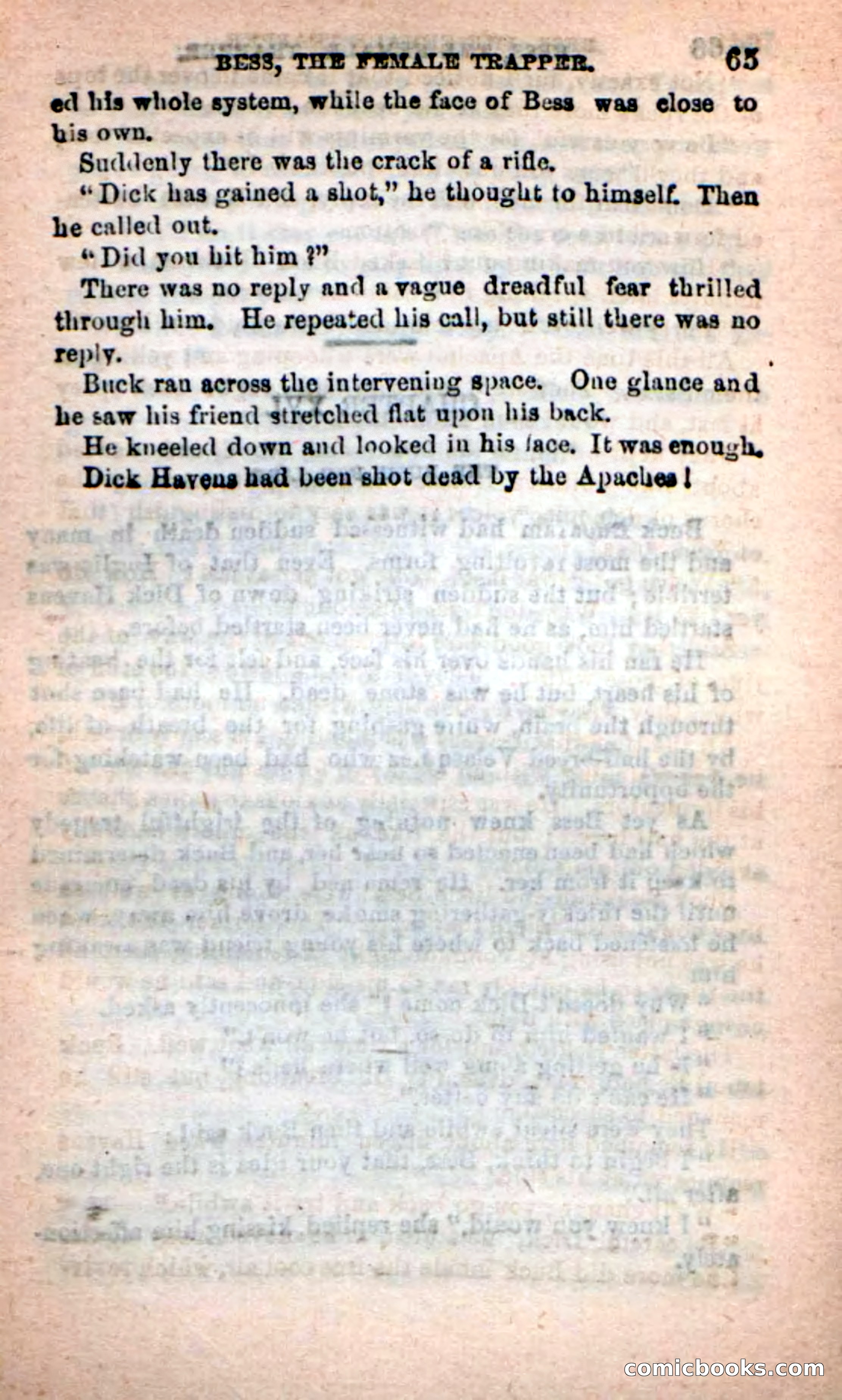 Beadle's New Dime Novels: 'Bess, the Trapper' — page 62 of 101