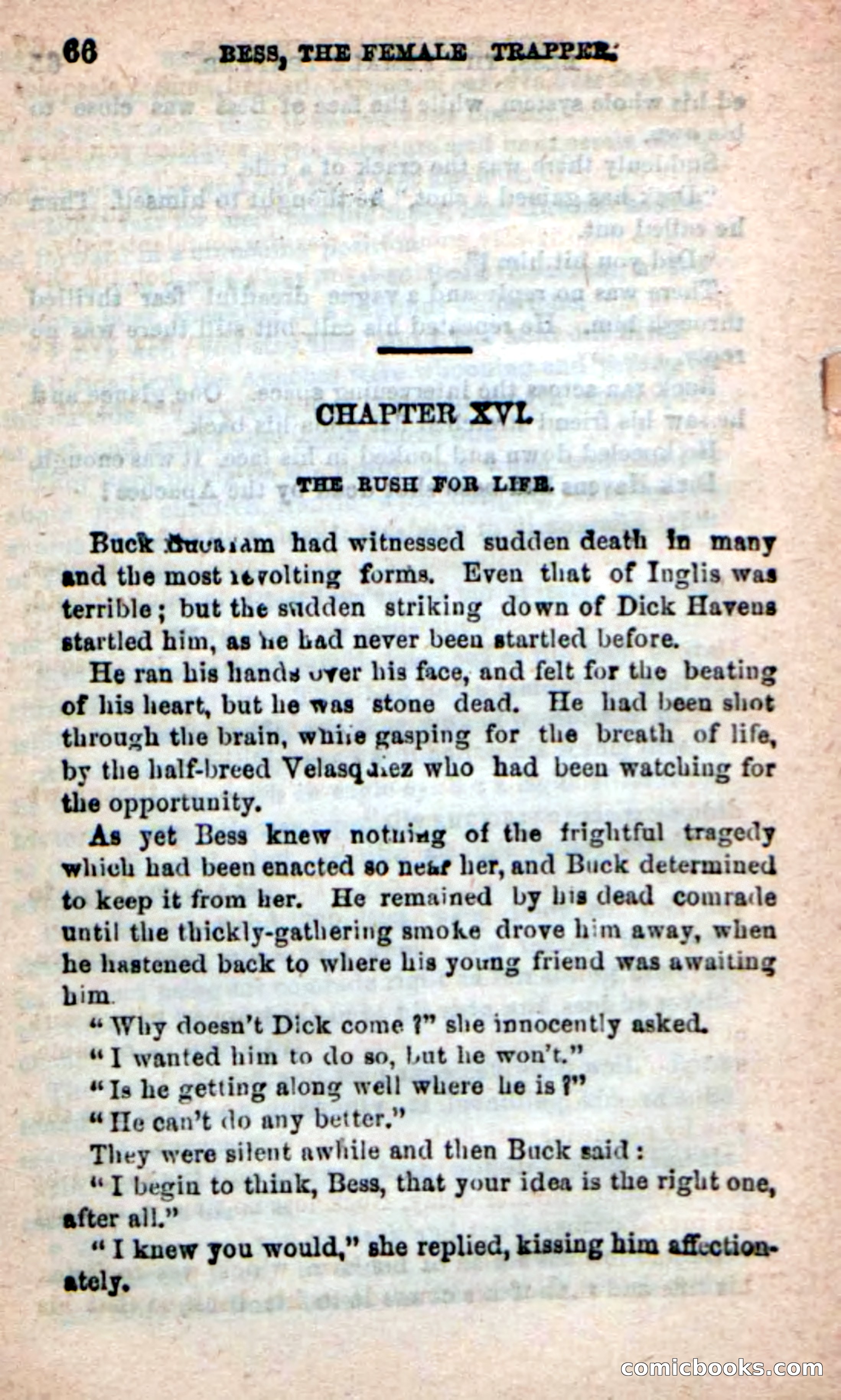 Beadle's New Dime Novels: 'Bess, the Trapper' — page 63 of 101