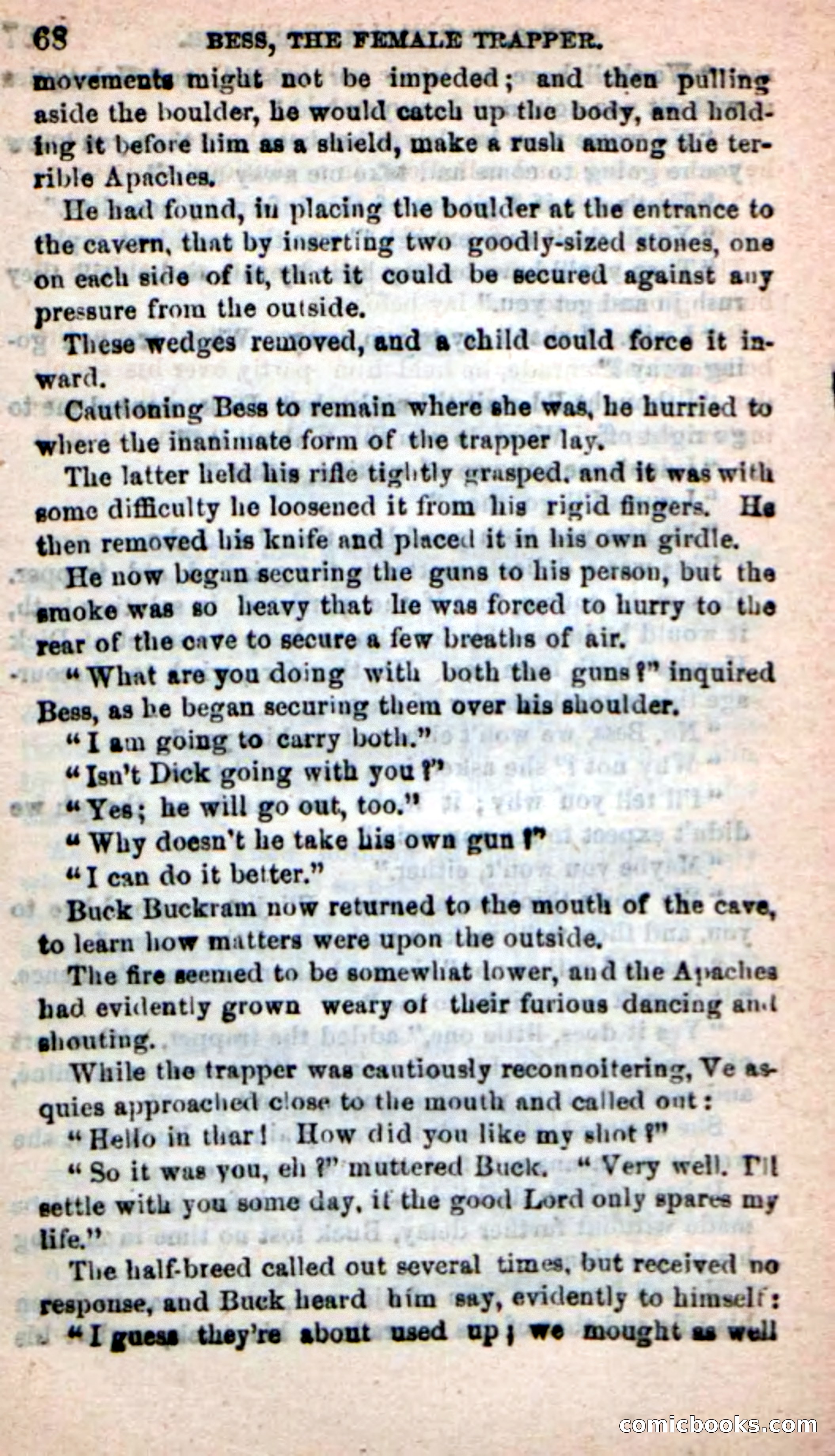 Beadle's New Dime Novels: 'Bess, the Trapper' — page 65 of 101