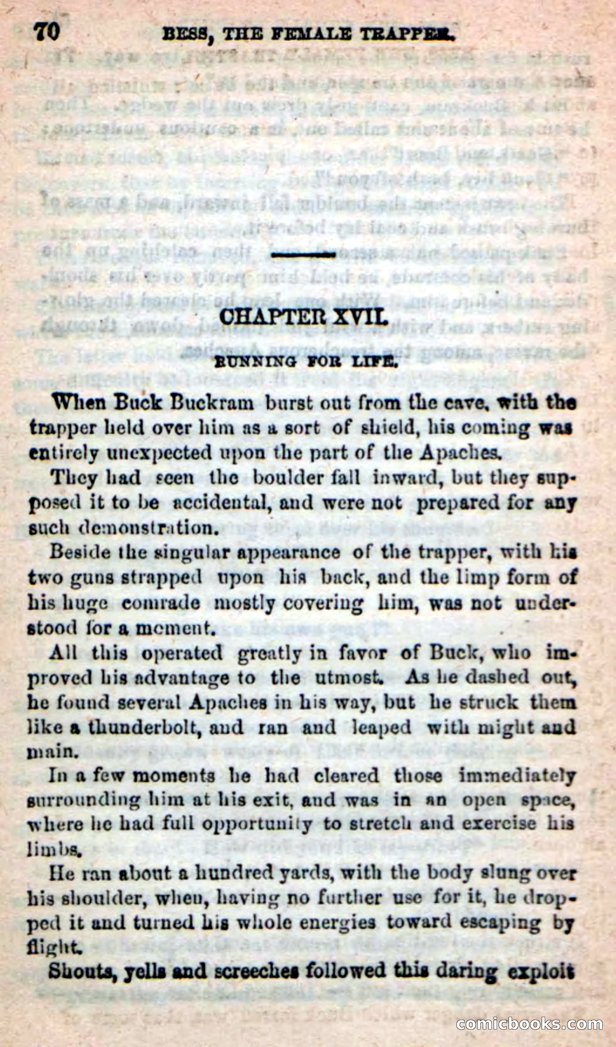 Beadle's New Dime Novels: 'Bess, the Trapper' — page 67 of 101