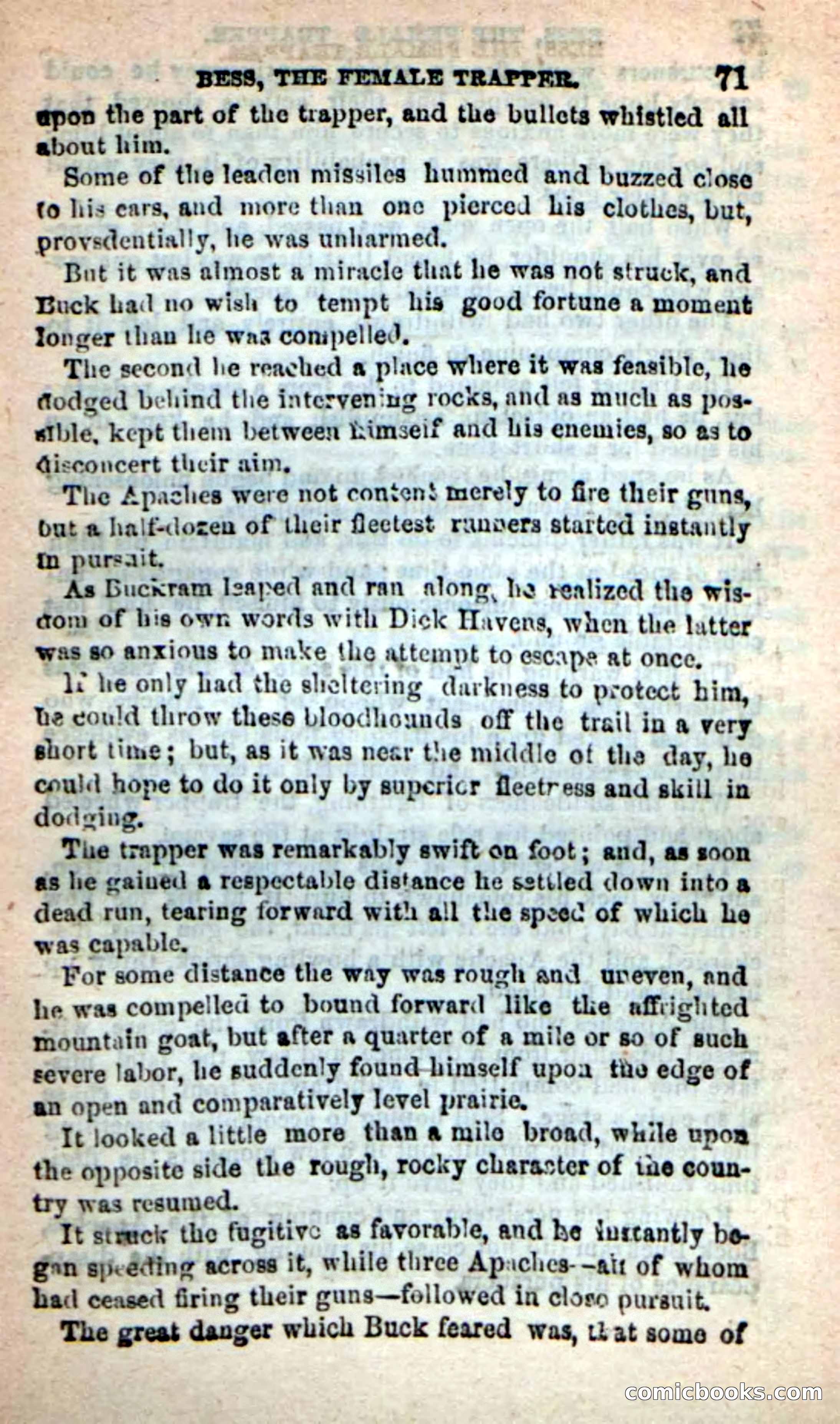 Beadle's New Dime Novels: 'Bess, the Trapper' — page 68 of 101