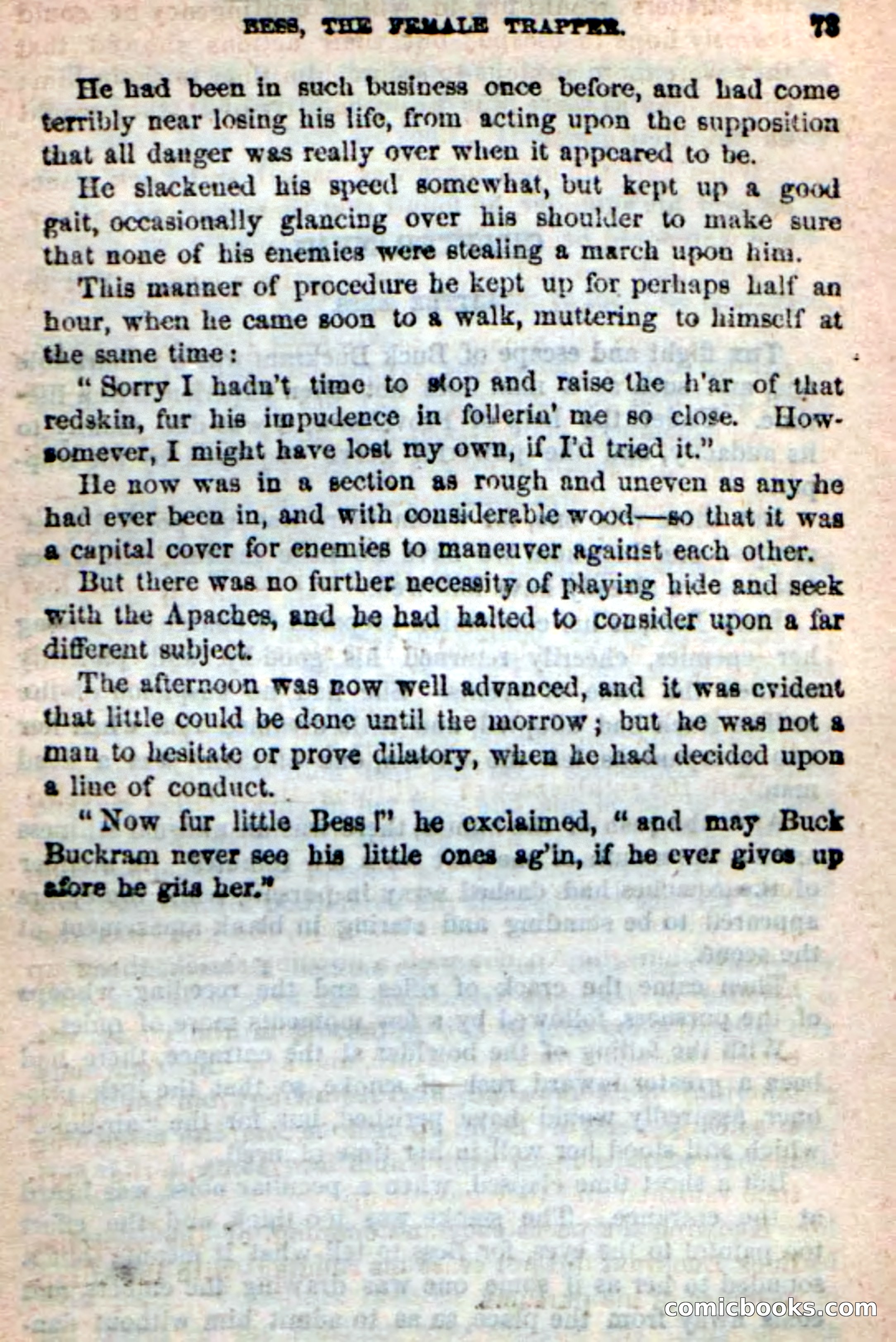 Beadle's New Dime Novels: 'Bess, the Trapper' — page 70 of 101