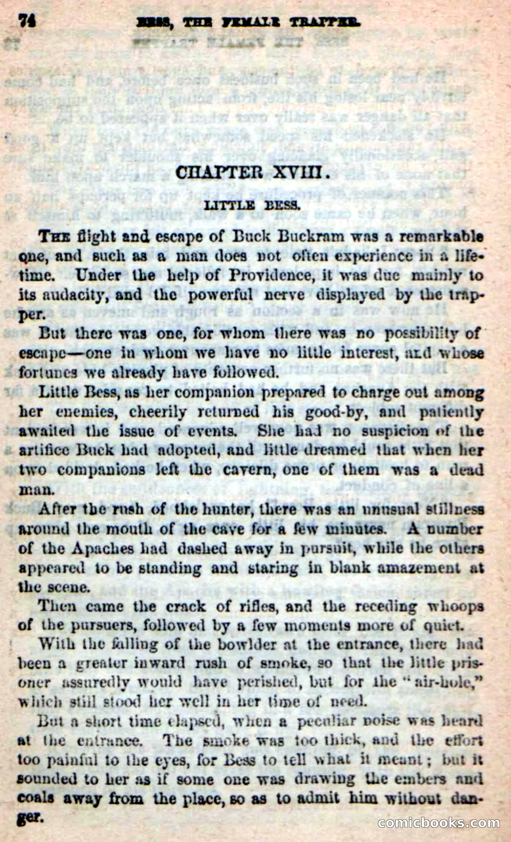 Beadle's New Dime Novels: 'Bess, the Trapper' — page 71 of 101