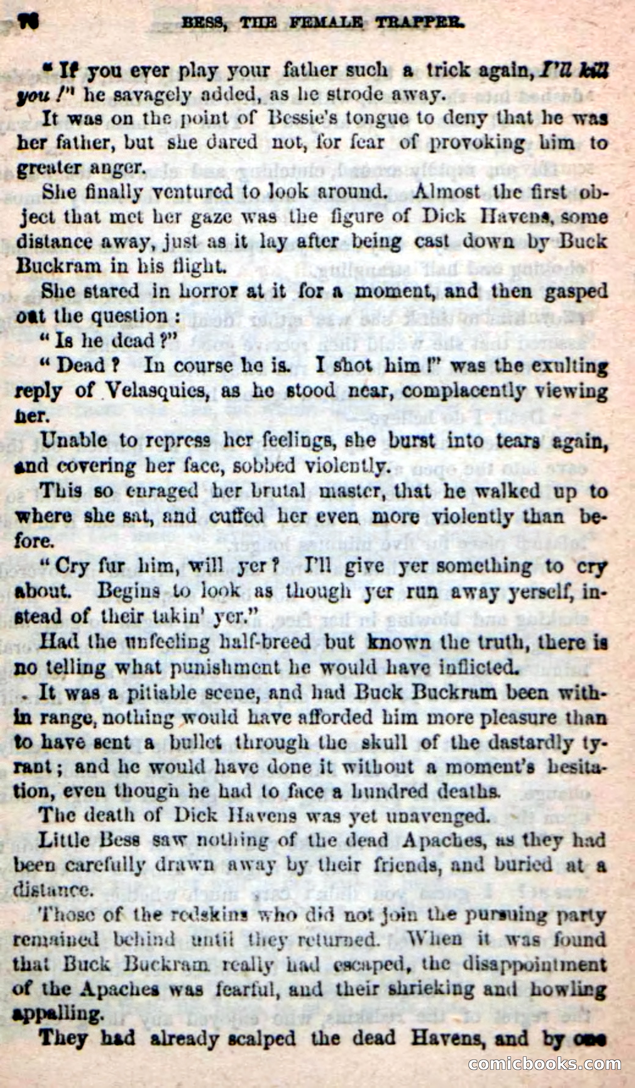 Beadle's New Dime Novels: 'Bess, the Trapper' — page 73 of 101