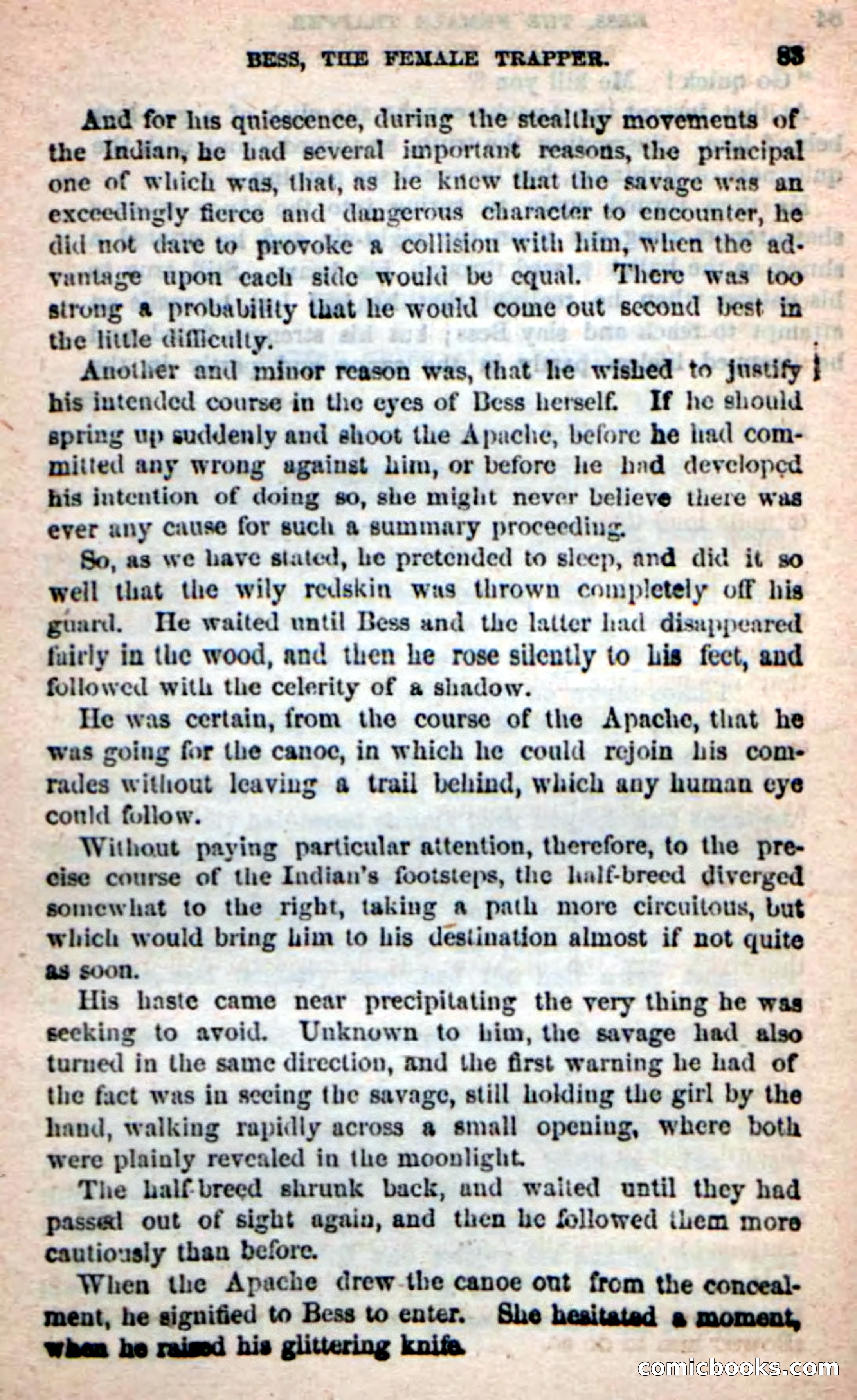Beadle's New Dime Novels: 'Bess, the Trapper' — page 80 of 101