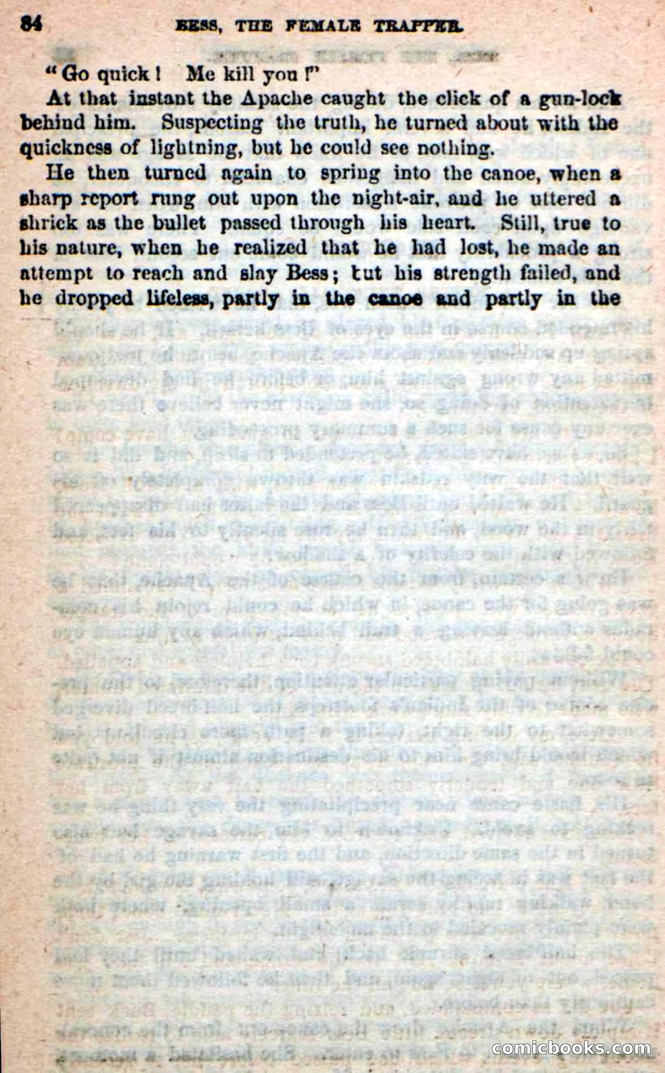 Beadle's New Dime Novels: 'Bess, the Trapper' — page 81 of 101