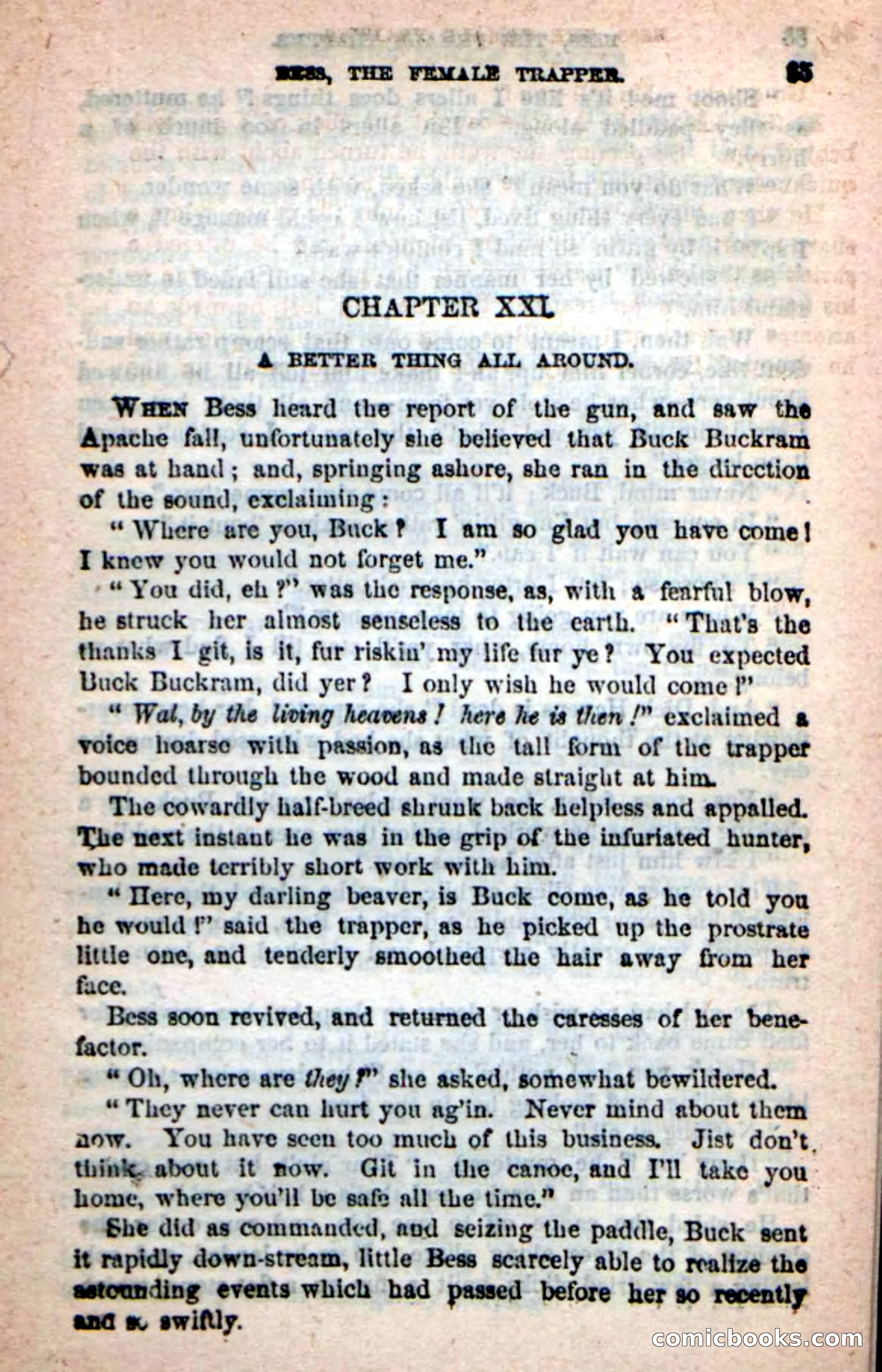 Beadle's New Dime Novels: 'Bess, the Trapper' — page 82 of 101