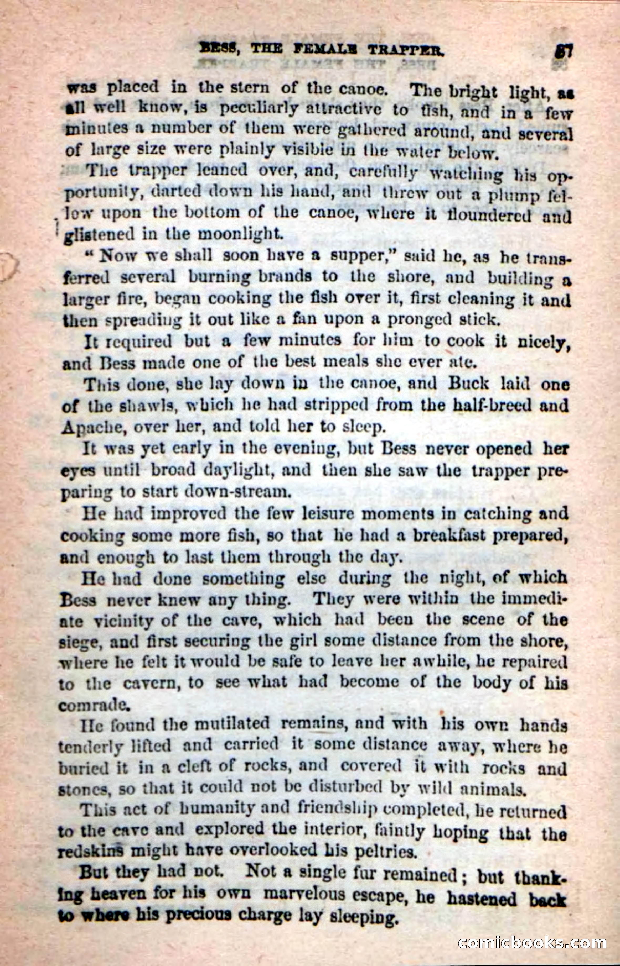 Beadle's New Dime Novels: 'Bess, the Trapper' — page 84 of 101