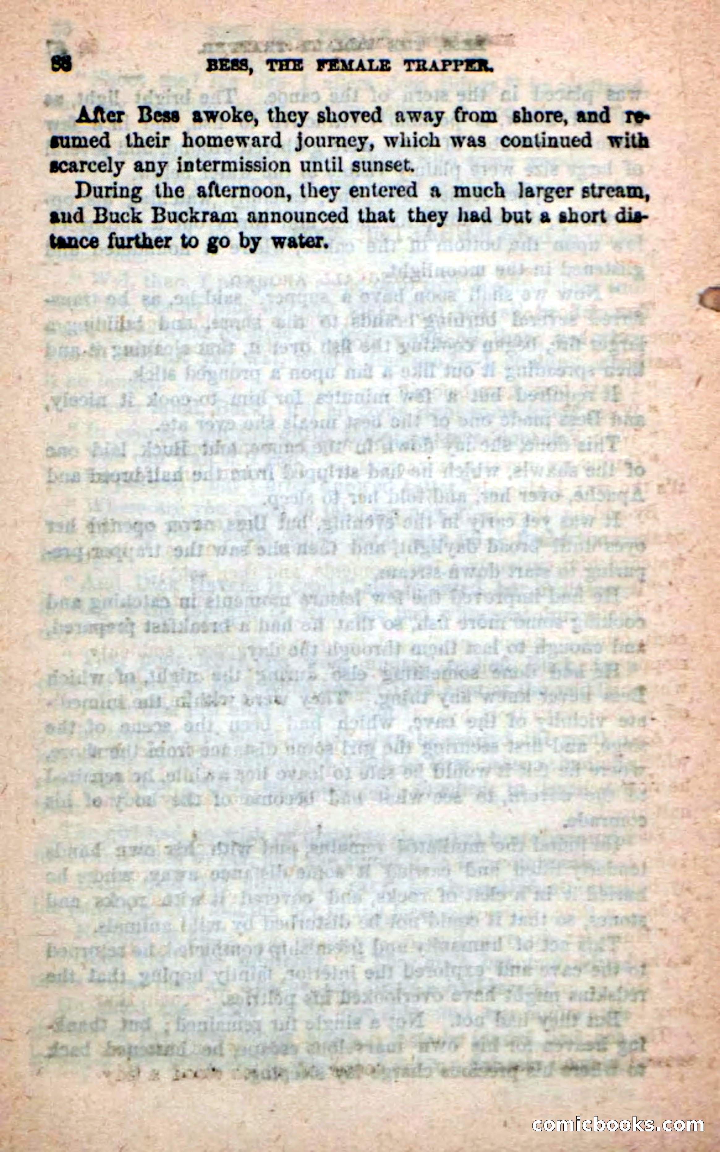 Beadle's New Dime Novels: 'Bess, the Trapper' — page 85 of 101