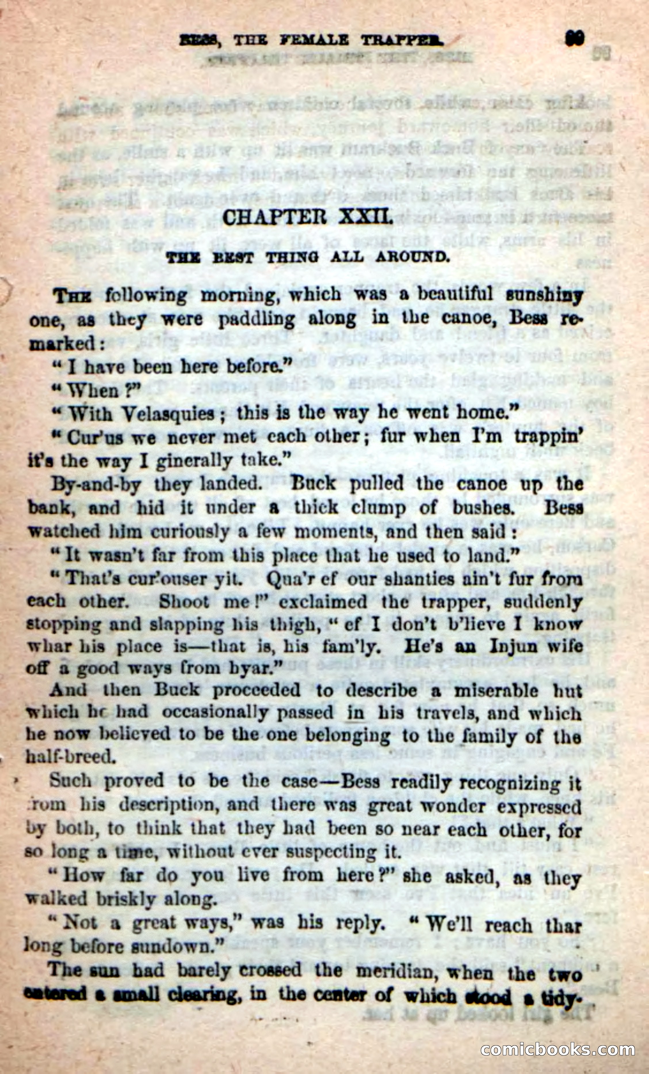Beadle's New Dime Novels: 'Bess, the Trapper' — page 86 of 101