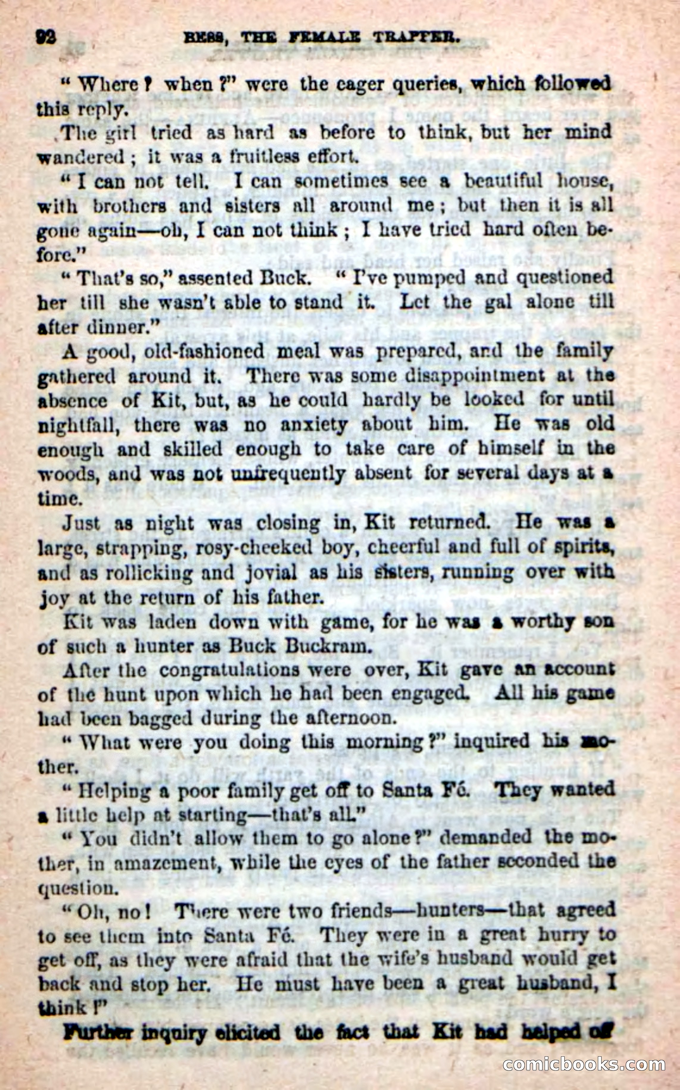 Beadle's New Dime Novels: 'Bess, the Trapper' — page 89 of 101