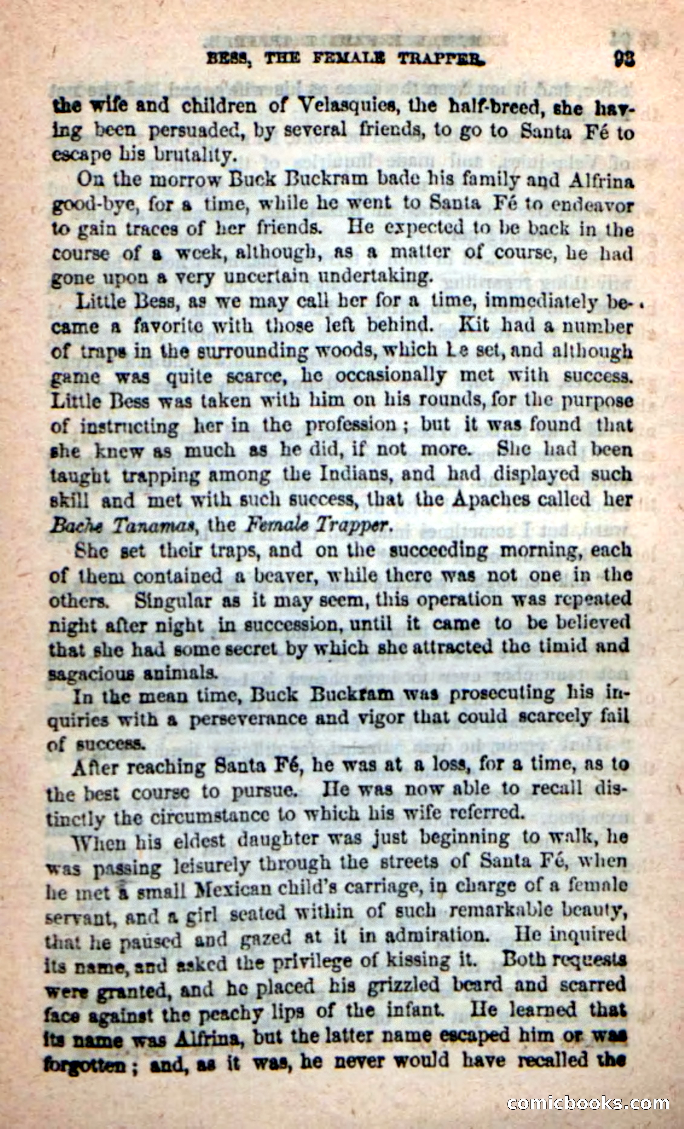 Beadle's New Dime Novels: 'Bess, the Trapper' — page 90 of 101
