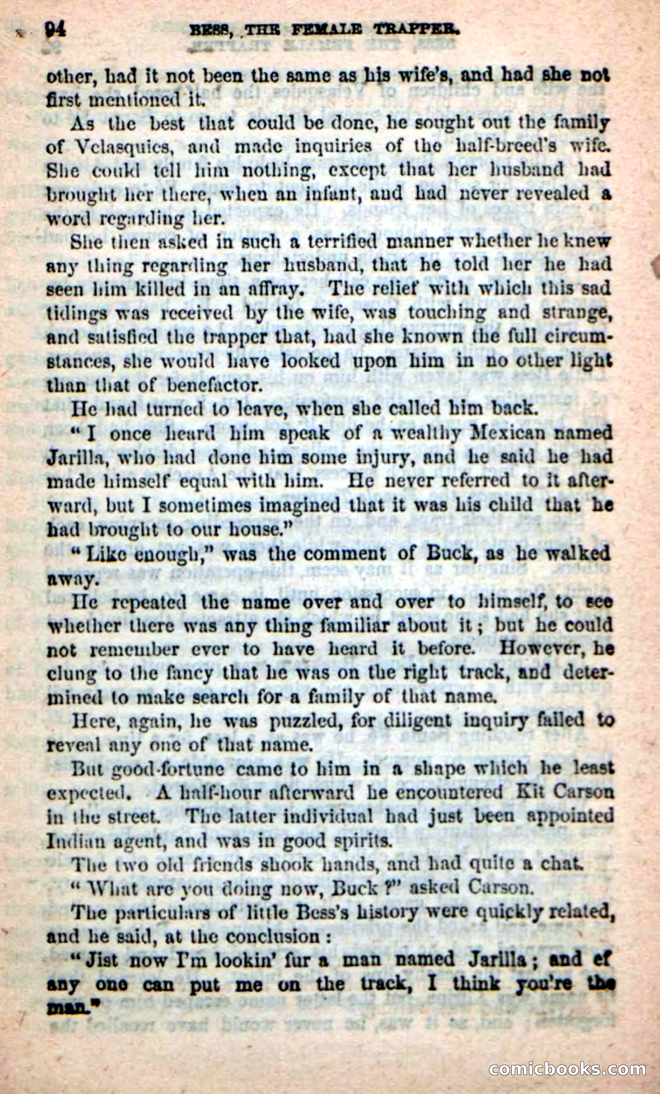 Beadle's New Dime Novels: 'Bess, the Trapper' — page 91 of 101