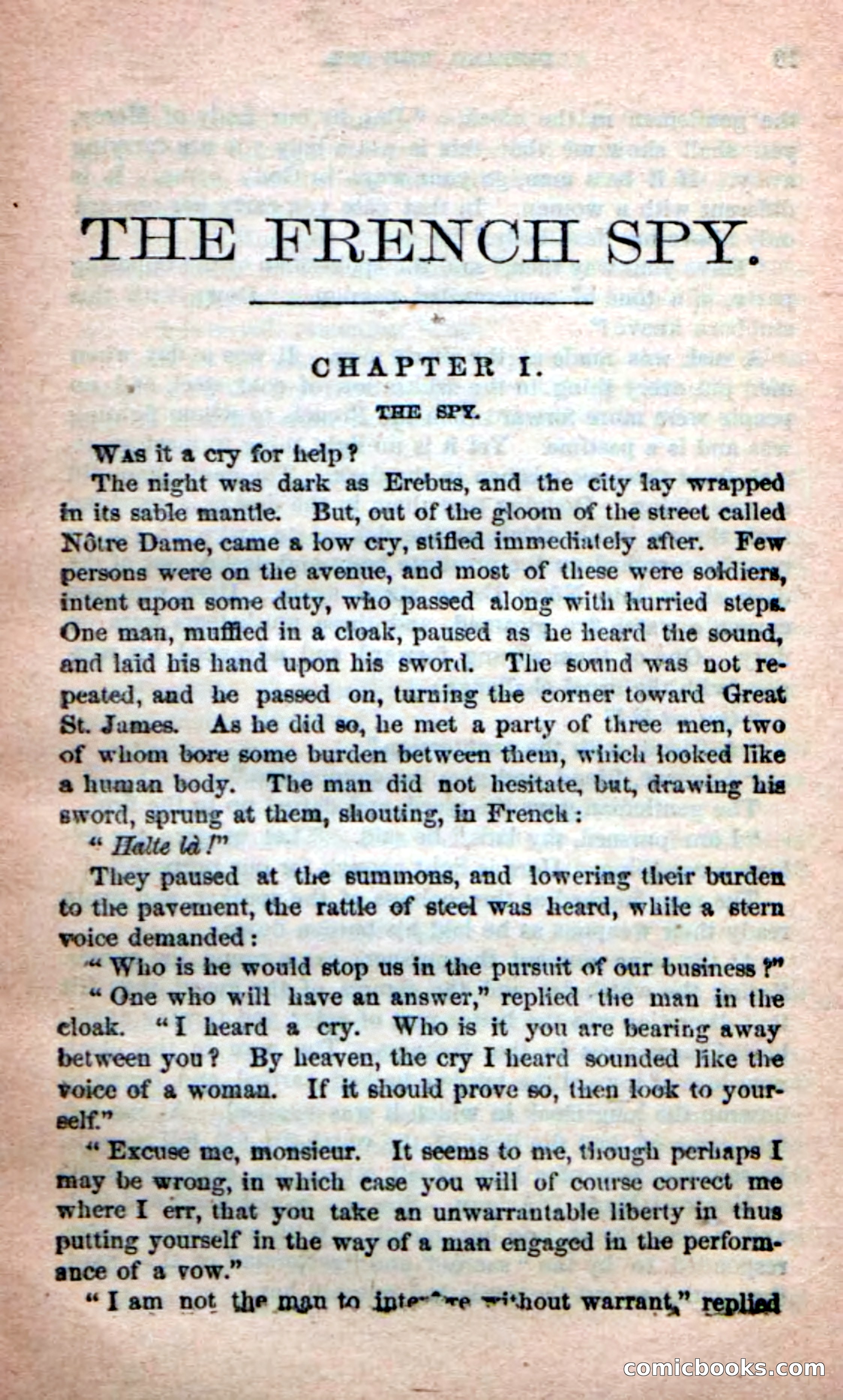 The French Spy — page 5 of 100