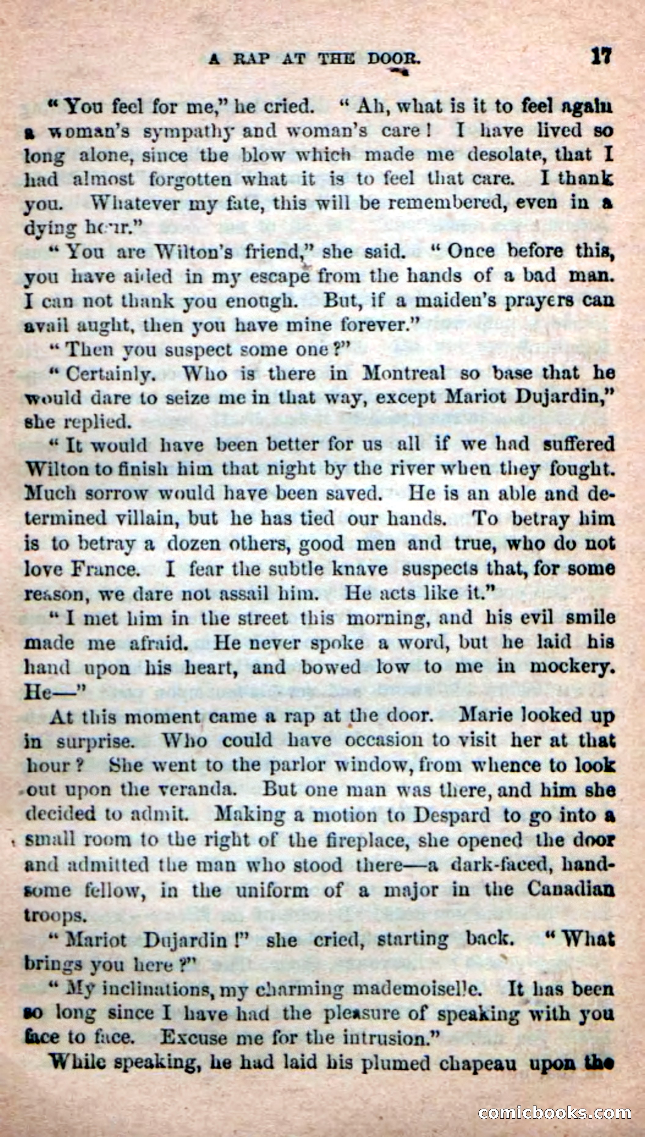 The French Spy — page 13 of 100