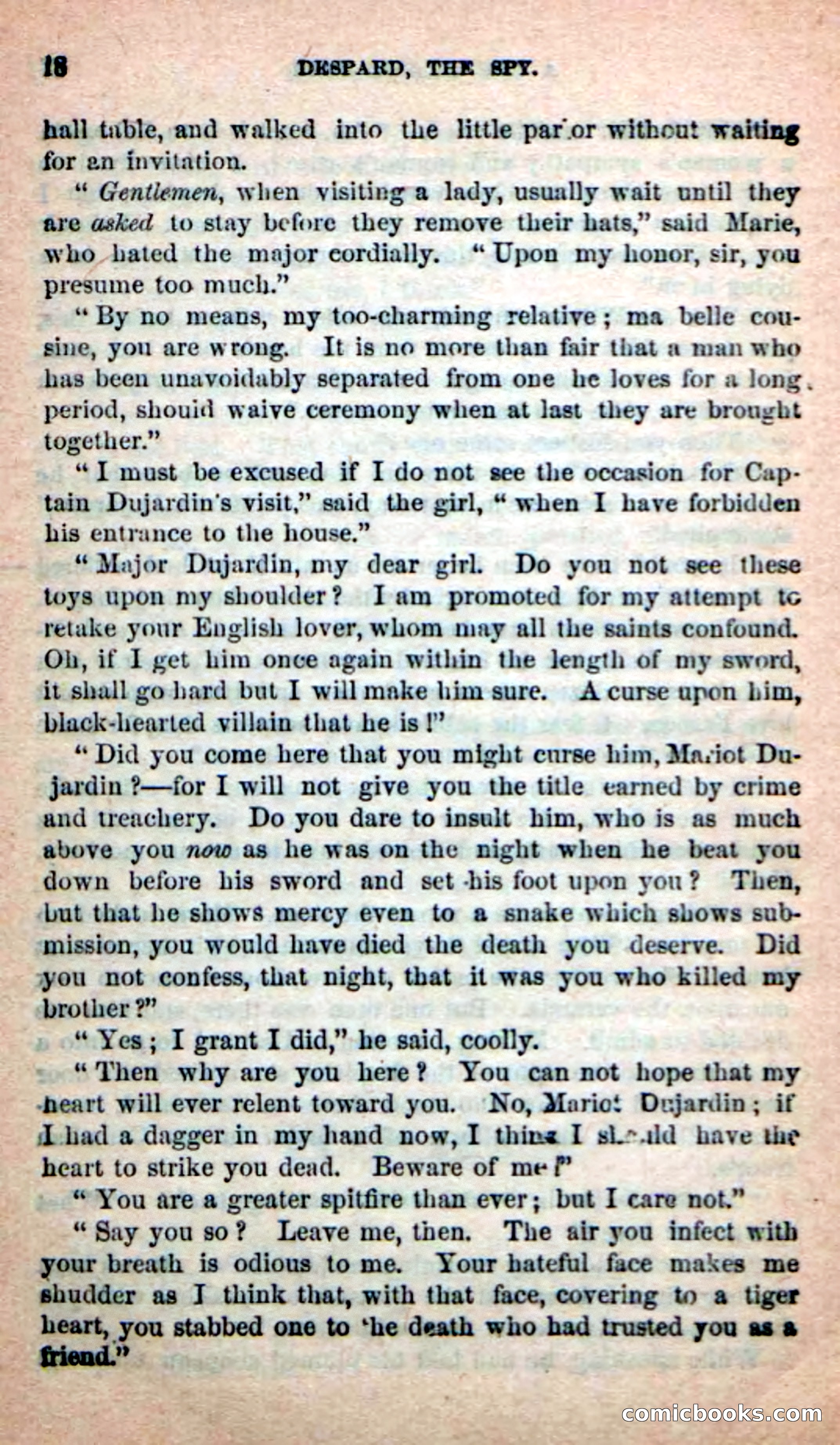 The French Spy — page 14 of 100