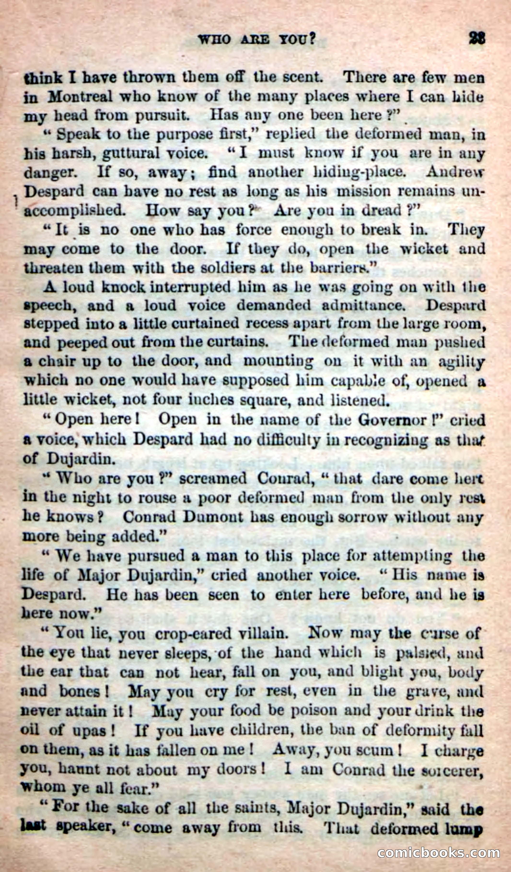 The French Spy — page 19 of 100